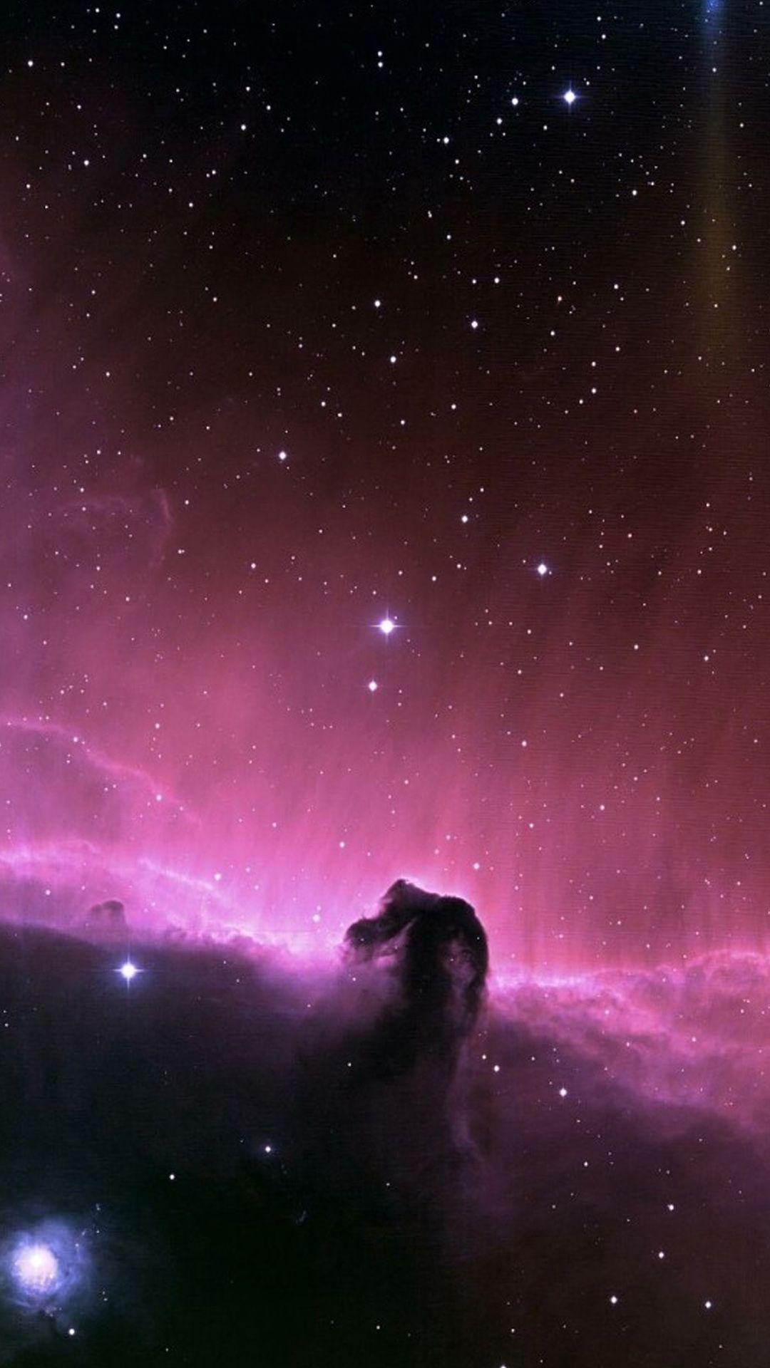 Horse Galaxy Wallpapers Top Free Horse