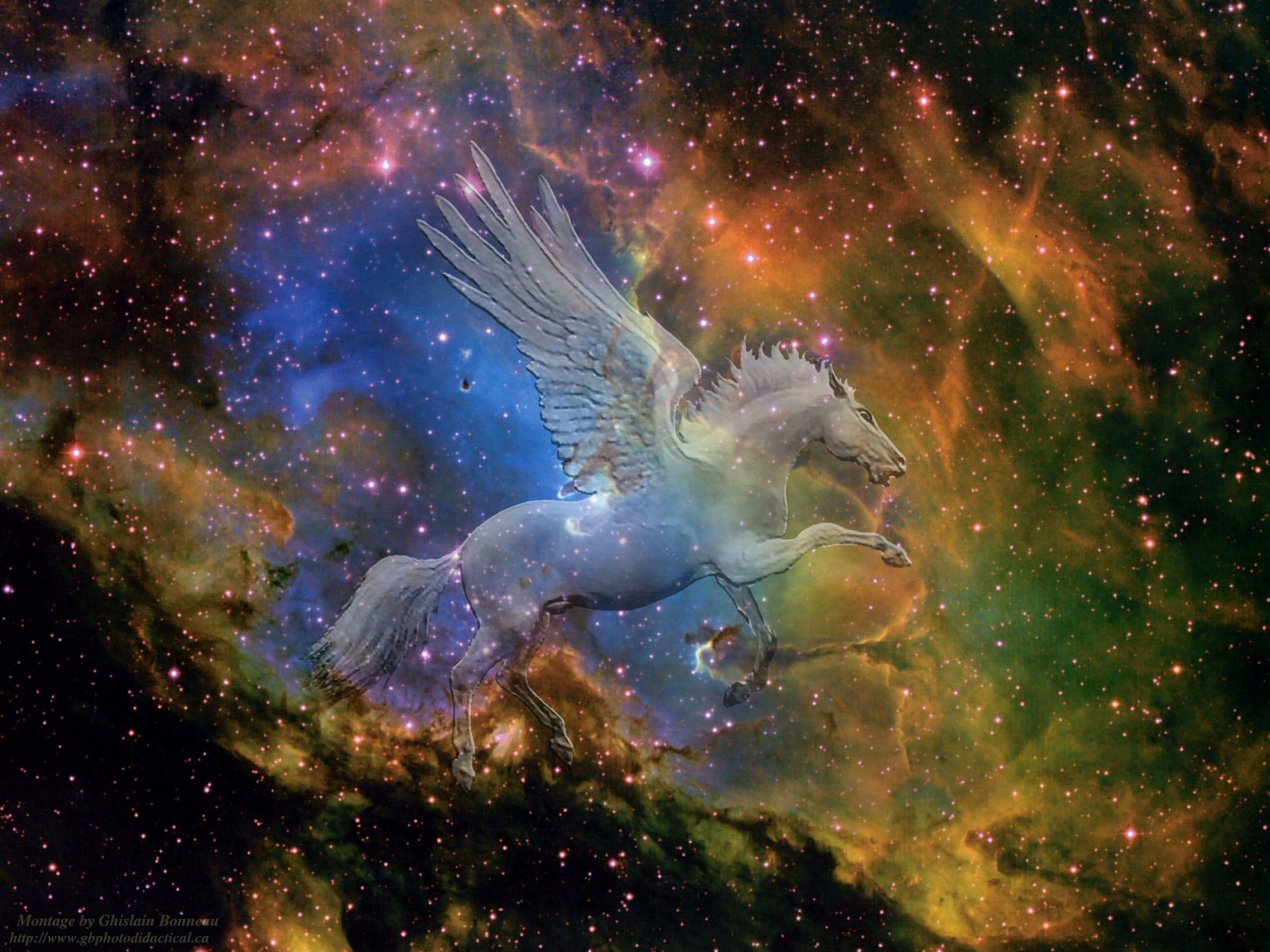 4000x3000 Free Wallpaper Others Page 1