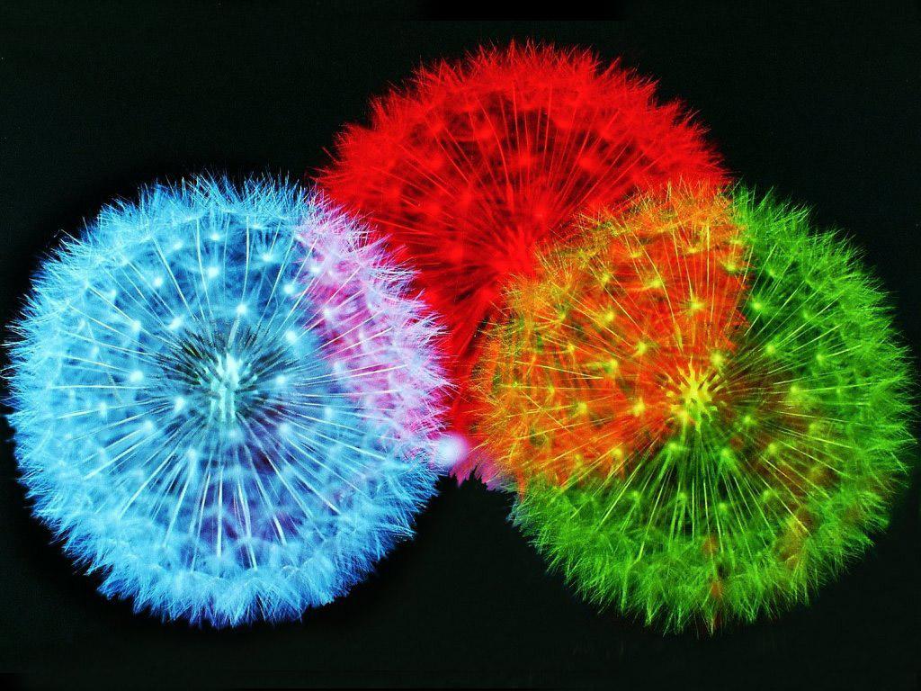 1024x768 Free download 11 Color Fireworks Wallpaper Fireworks Background Picture [1024x768] for your Desktop, Mobile & Tablet. Explore Fireworks Wallpaper FreeD Fireworks Wallpaper, Fireworks Wallpaper for Computer, July 4th Fireworks Wallpaper