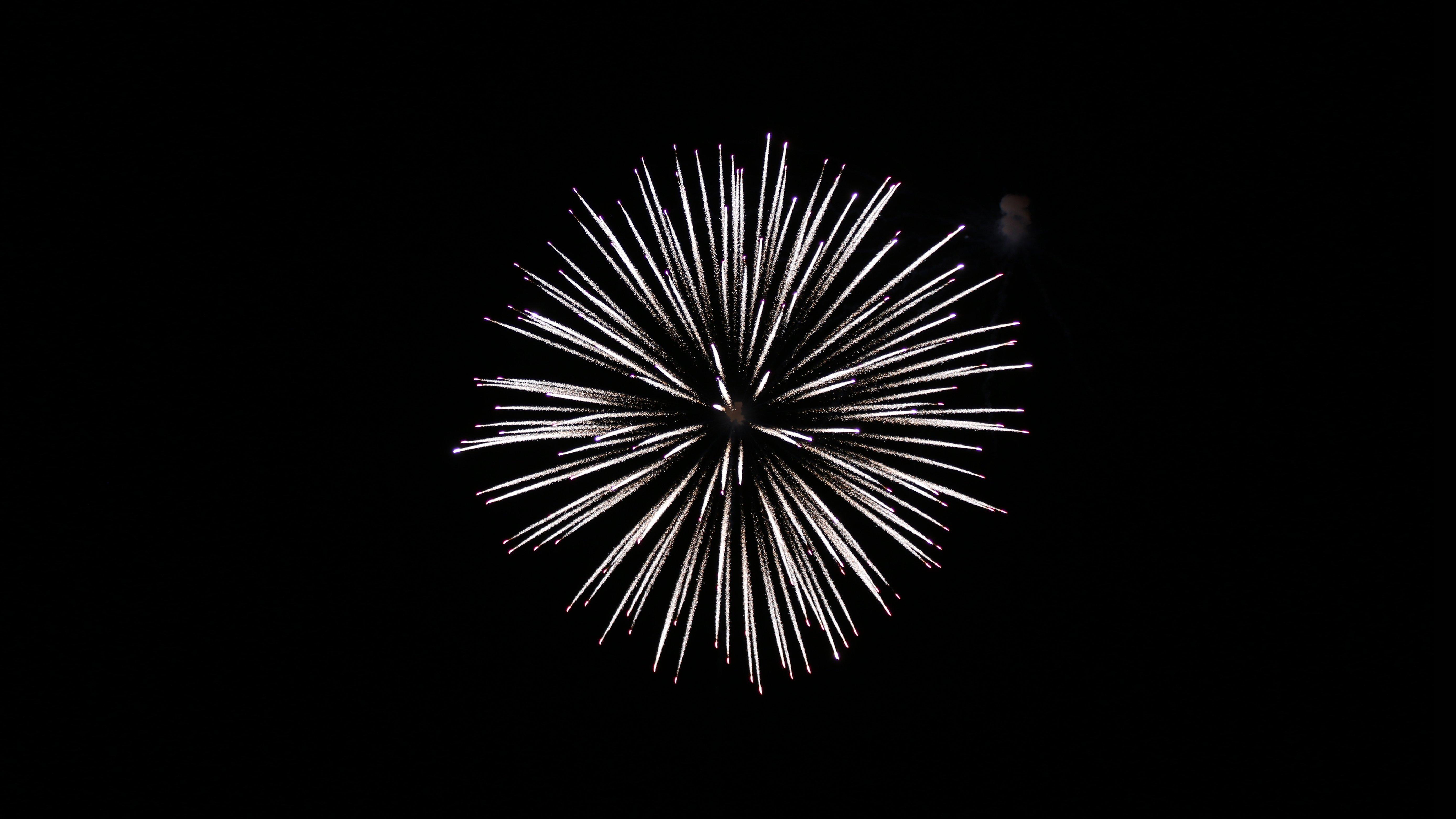 5556x3125 Colorful Firework 4K wallpaper