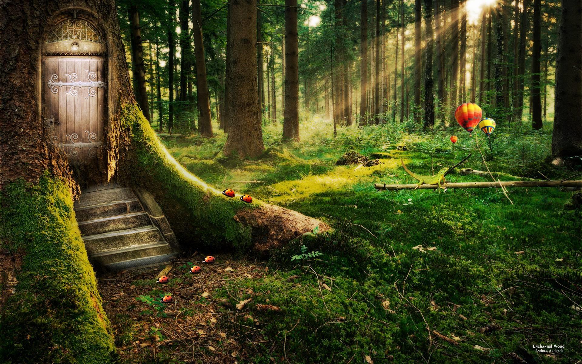 1920x1200 Fantasy Forest