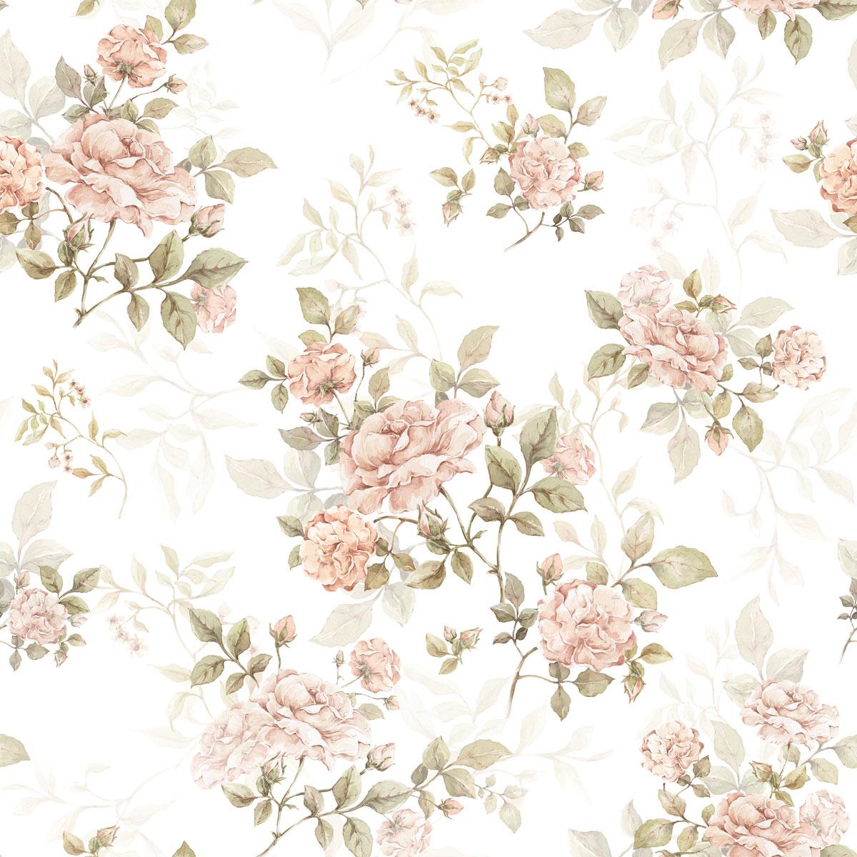 Antique Rose Wallpapers - Top Free Antique Rose Backgrounds