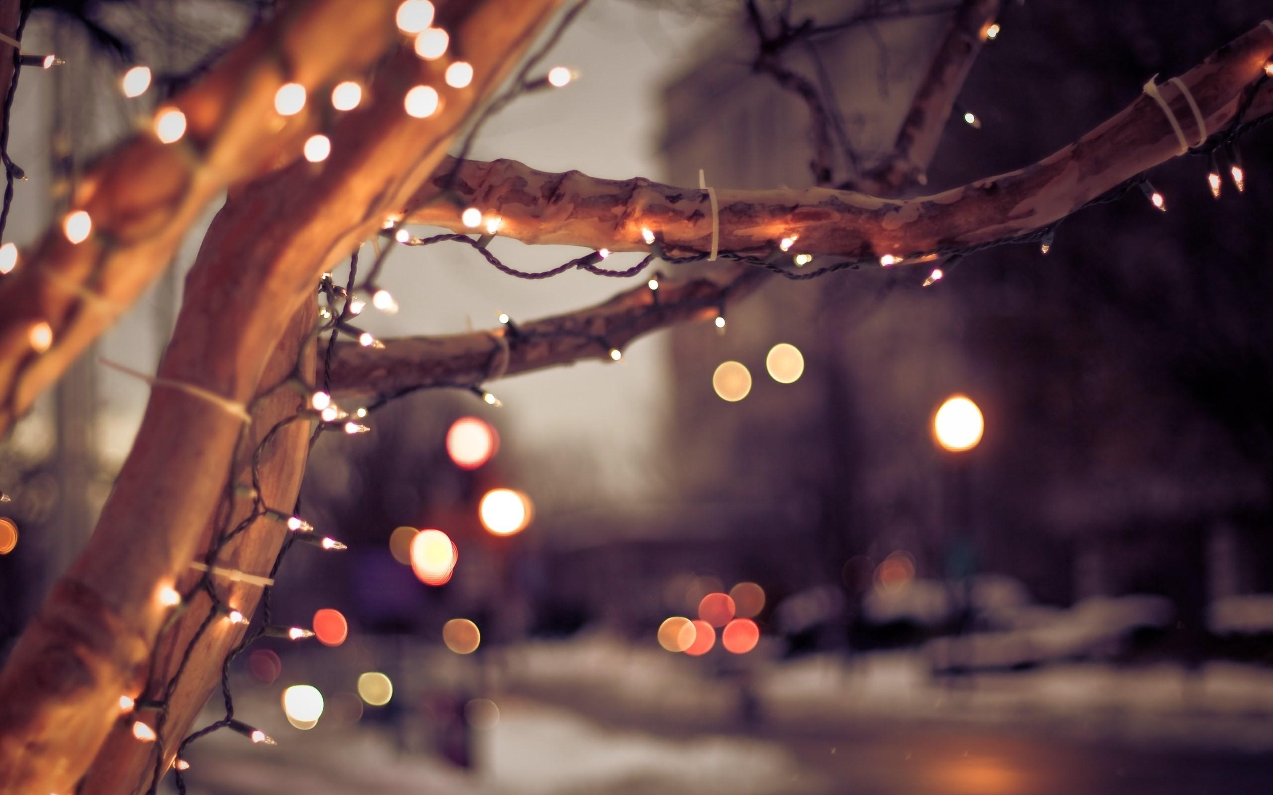 2560x1600 Best Of Cute Pinterest Christmas Laptop Wallpaper image