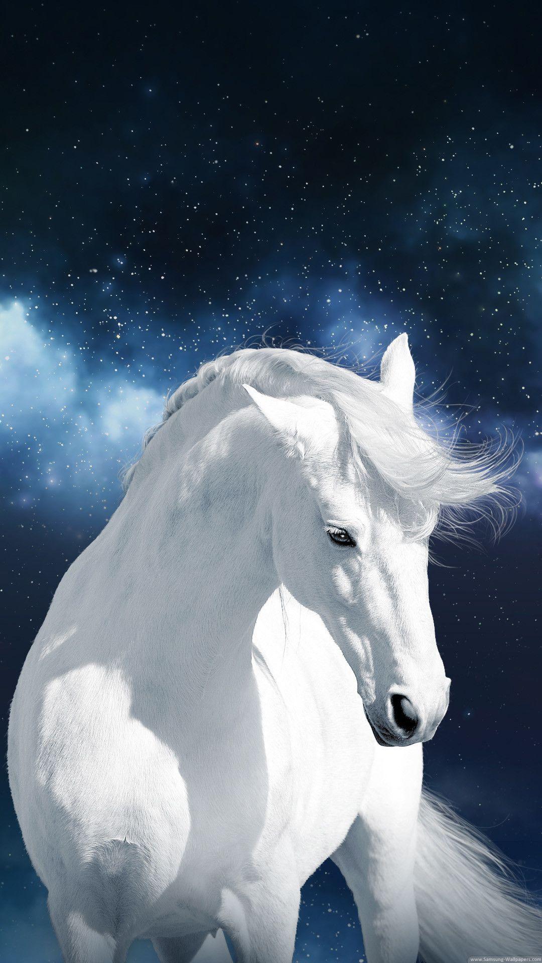 1080x1920 White Horse Wallpaper