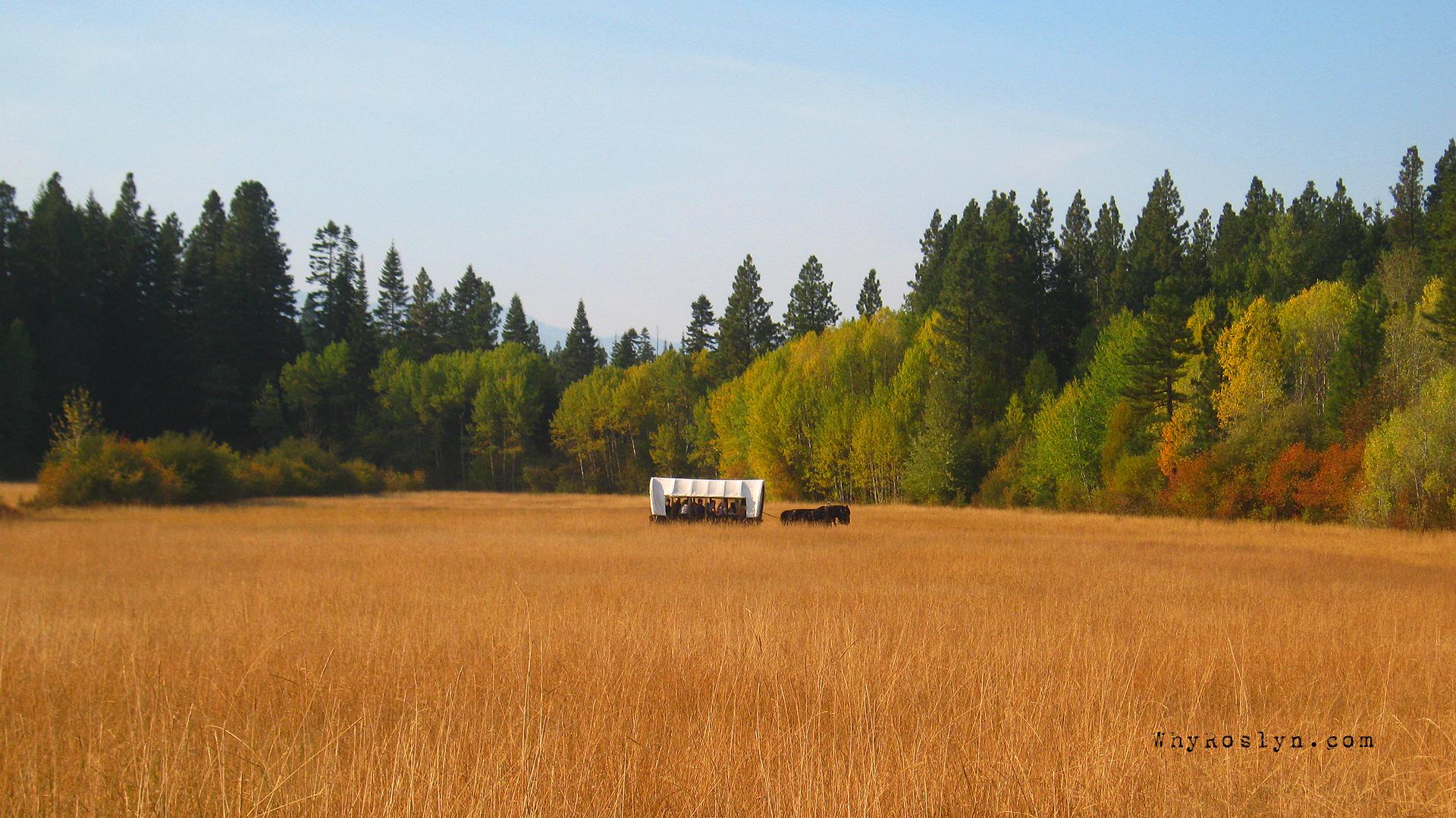 1920x1080 7th Annual Harvest Festival at Suncadia