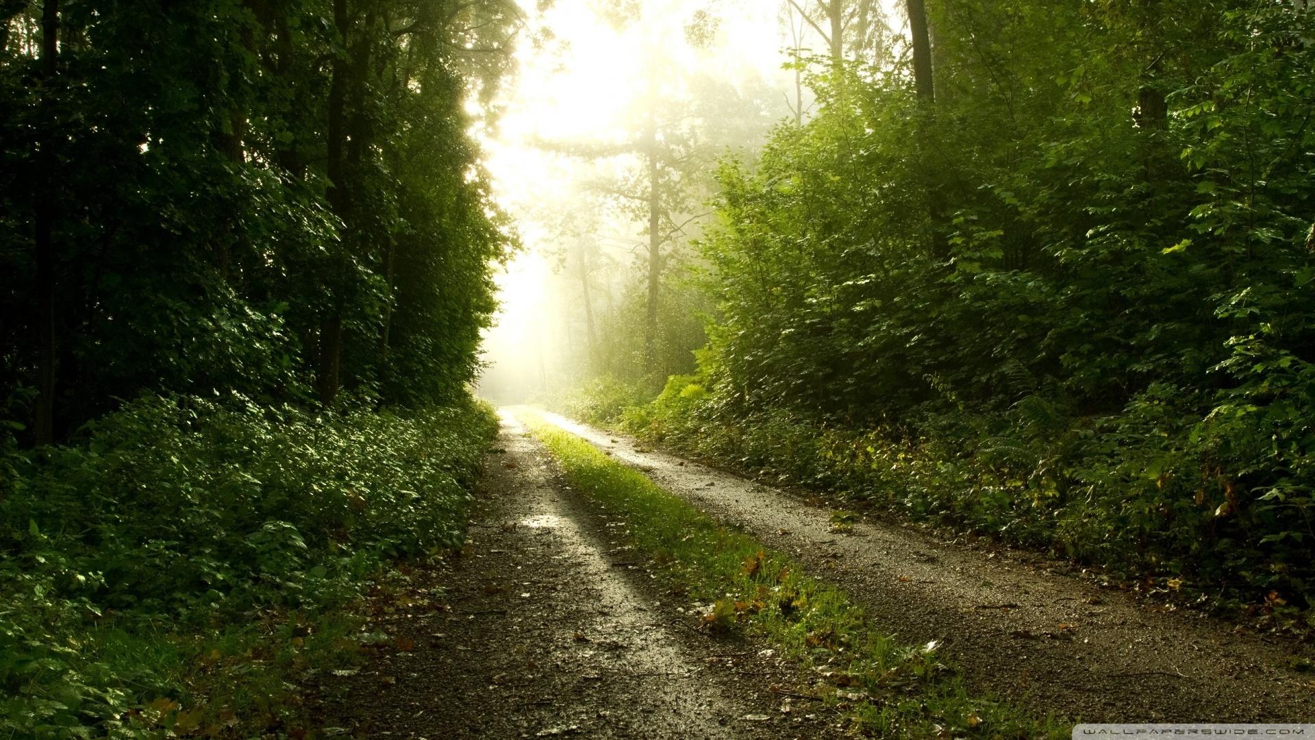 1920x1080 After Rain Background wallpaperx1080
