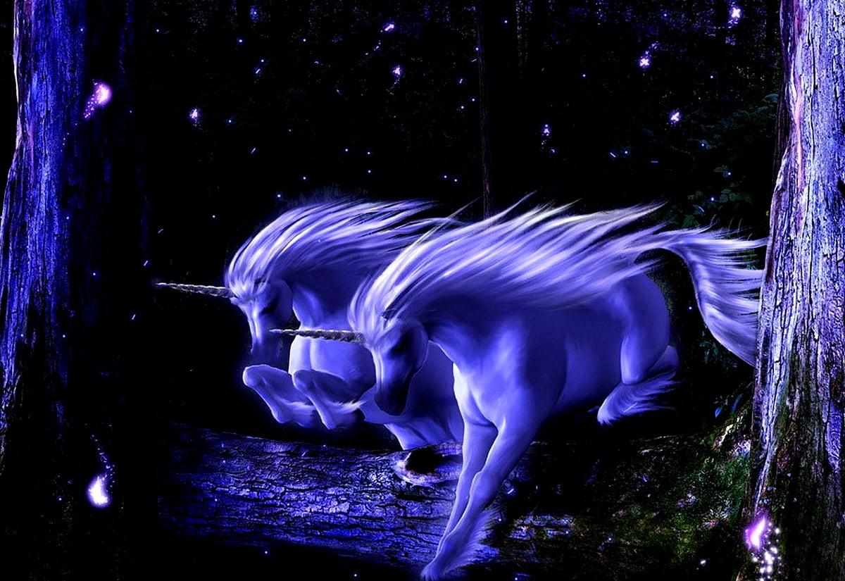 1200x825 Mythical Animals, Nature, Unicorn wallpaper. Download Free pics