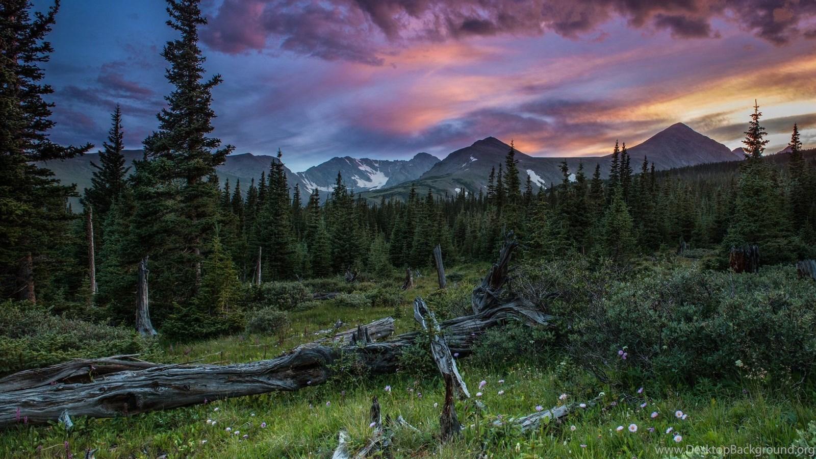 1600x900 Mountains Summer Forest Sunset Wallpaper Desktop Background