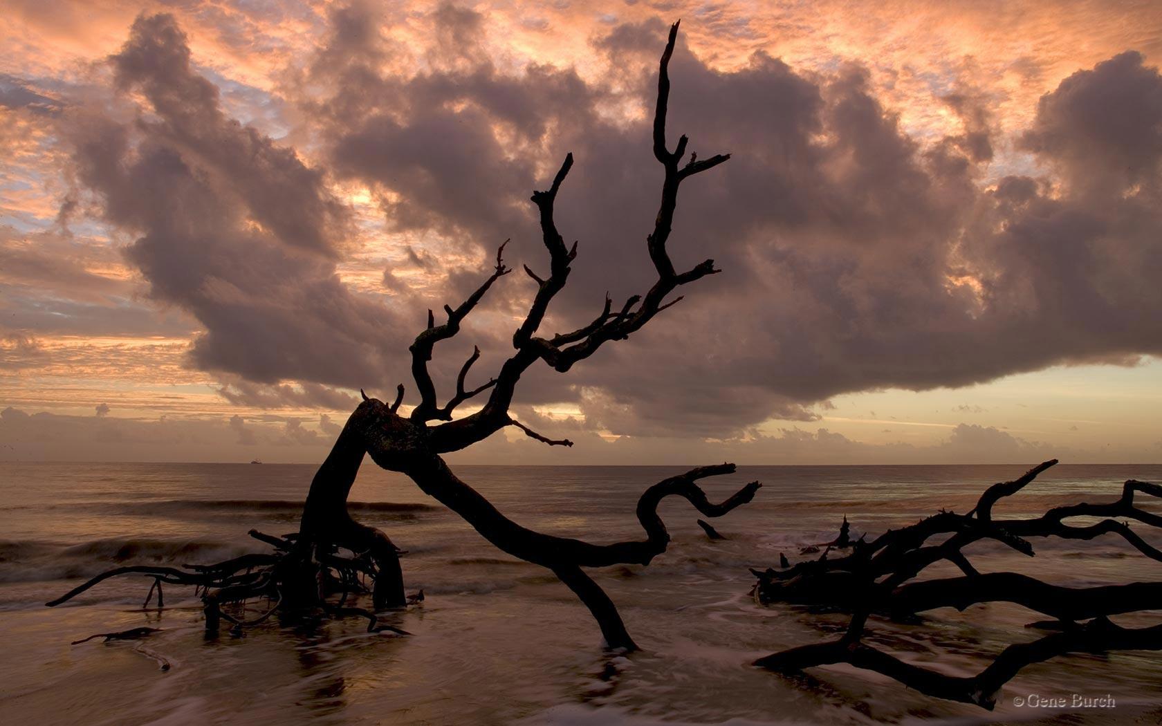 1680x1050 Download Wallpaper, Download dead nature Dead nature Wallpaper –Free Wallpaper Download