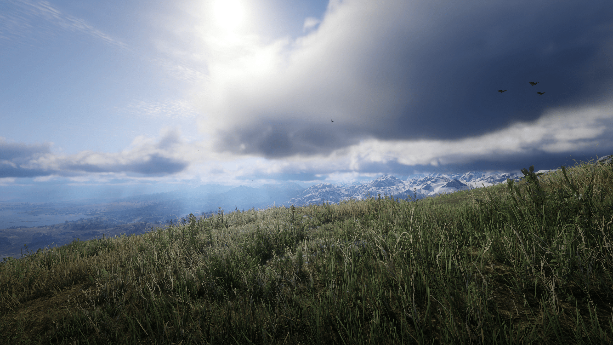 2560x1440 Red Dead Redemption II HD wallpaper, Background