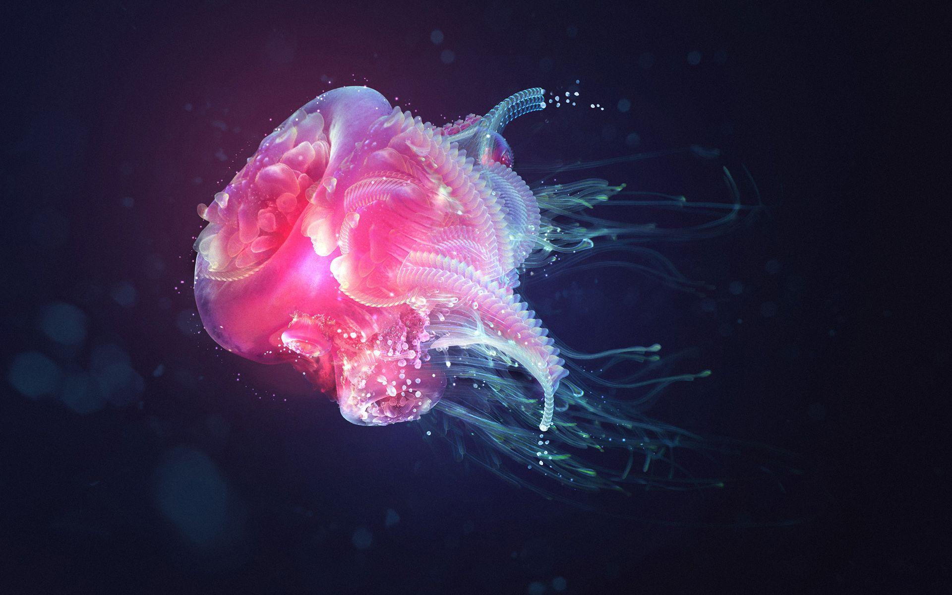 1920x1200 liquid, amazing, life, display water, neon, free, bright, ocean