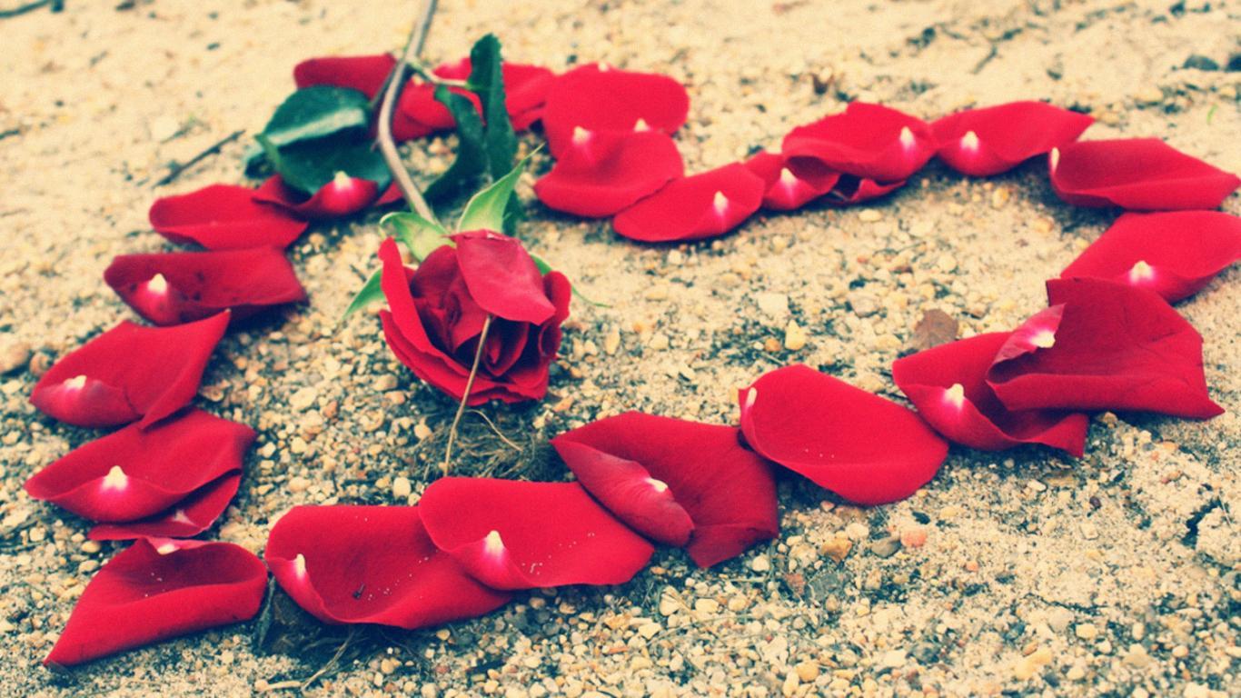 1366x768 Awesome Love Wallpaper Download Free (5)