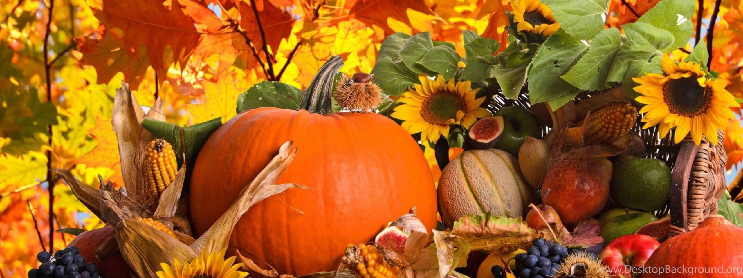 2560x960 Thanksgiving Wallpaper 1177 HD Wallpaper Desktop Background