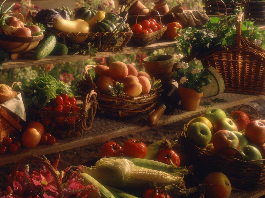 1024x768 Download Free 15 Thanksgiving HD Wallpaper WallpaperCool Wallpaper