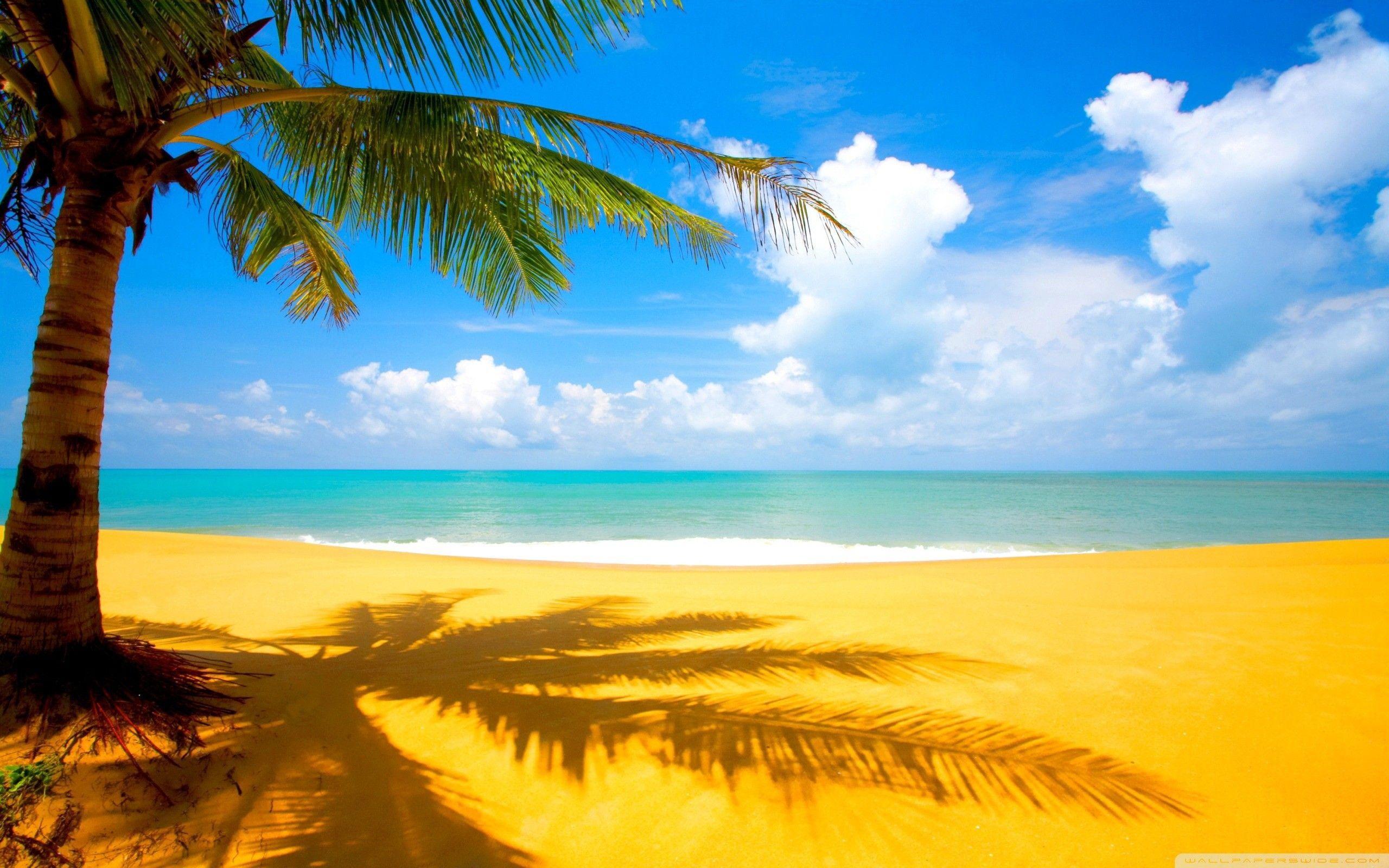 2560x1600 Summer Time Beach Wallpaper