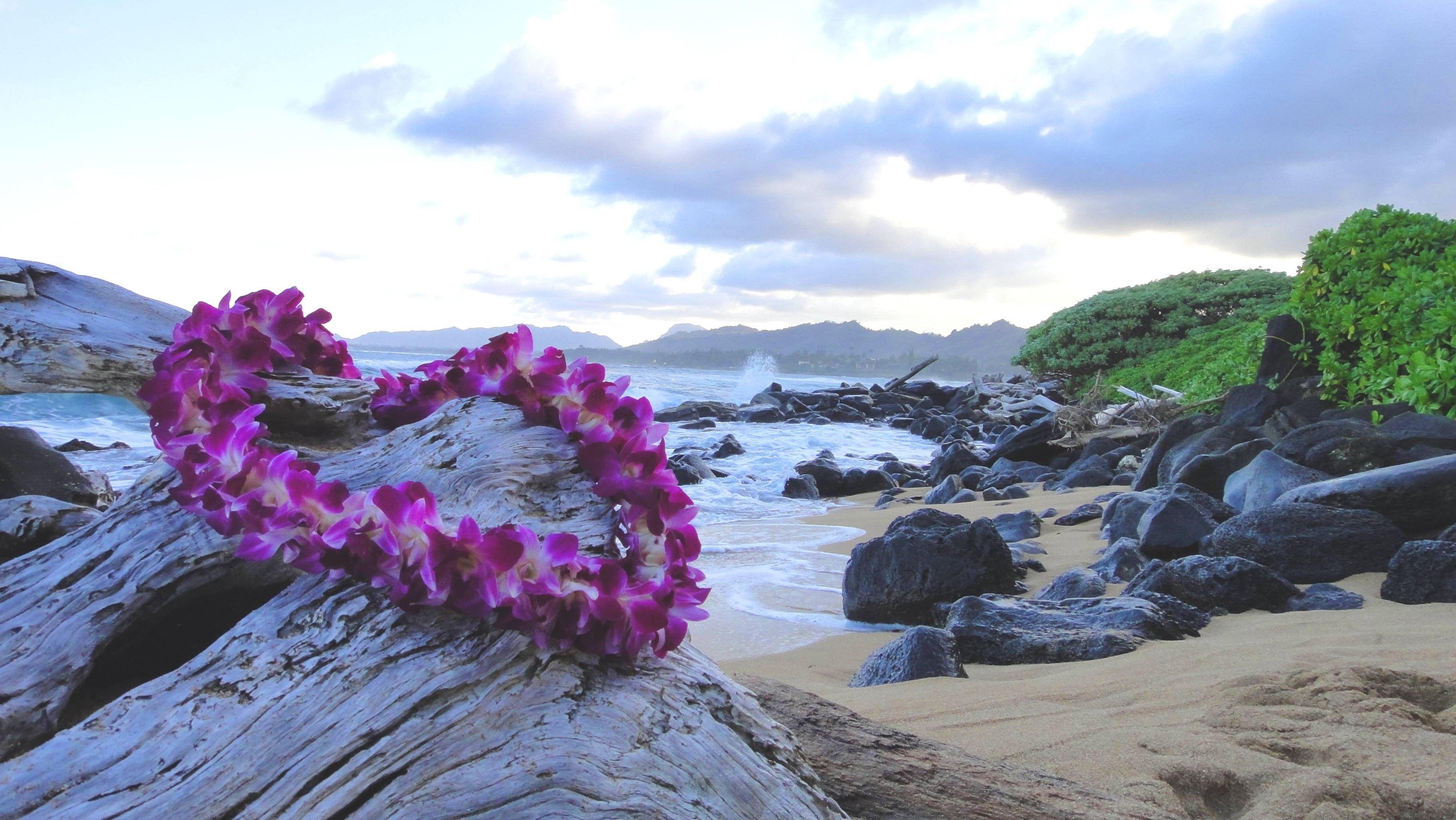 3648x2056 Beaches: Hawaiian Lei Lying Rocks Beach Hawaii Polynesia Plumeria