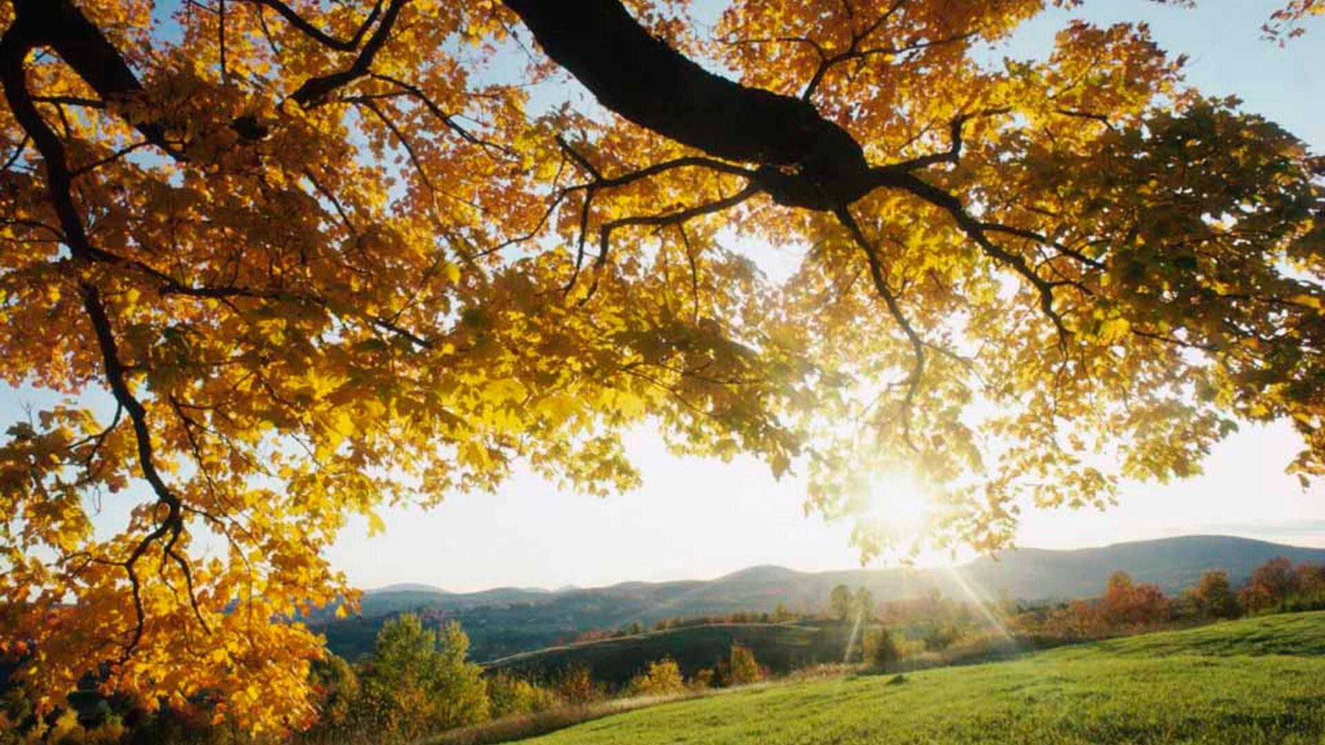 1920x1080 Best Of HD Wallpaper Of Summer Season