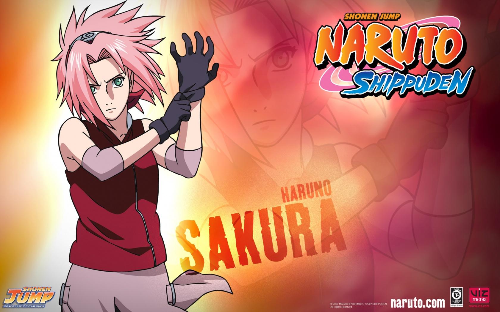 1680x1050 sakura