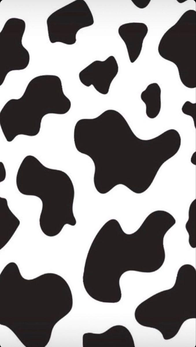 678x1200 Cow Aesthetic Wallpaper
