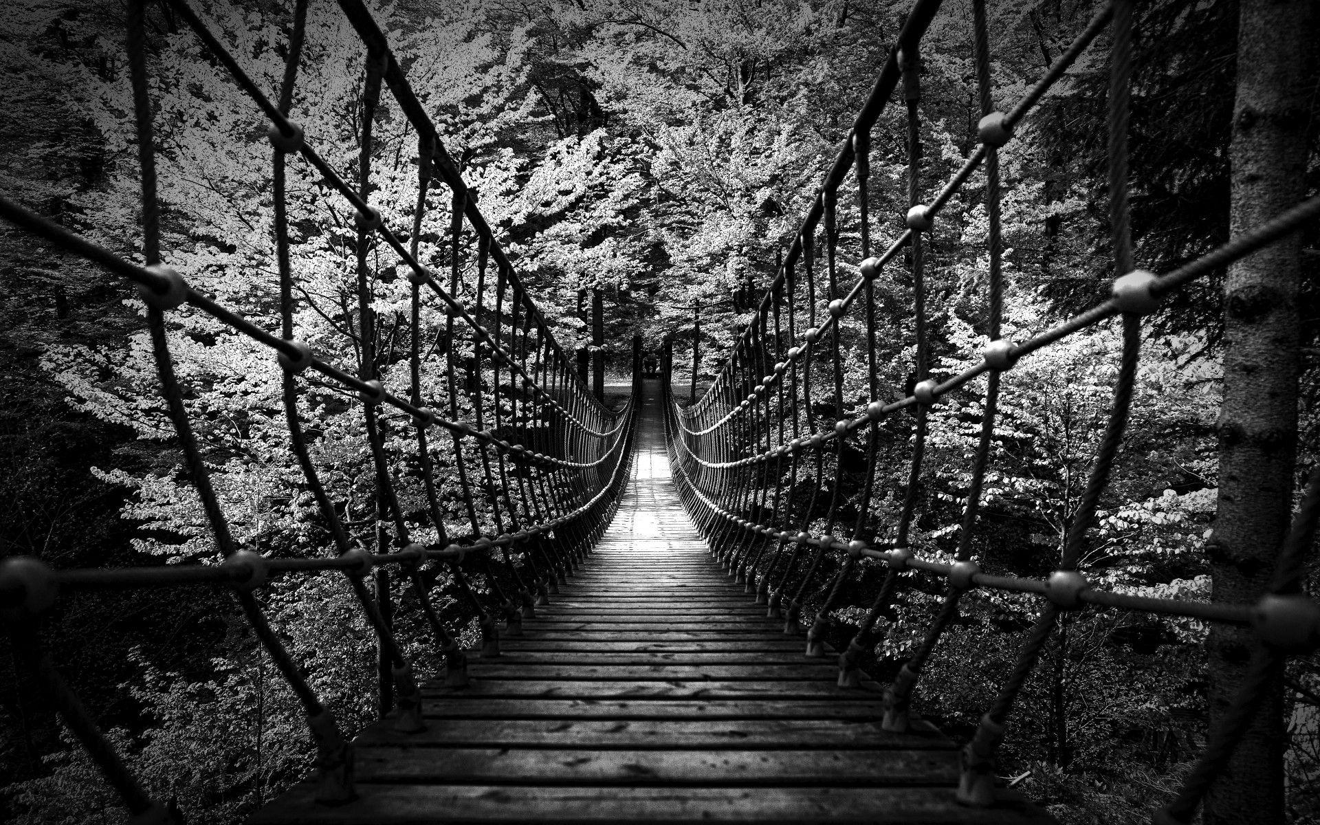 Hình nền 1920x1200 Black and White Woods