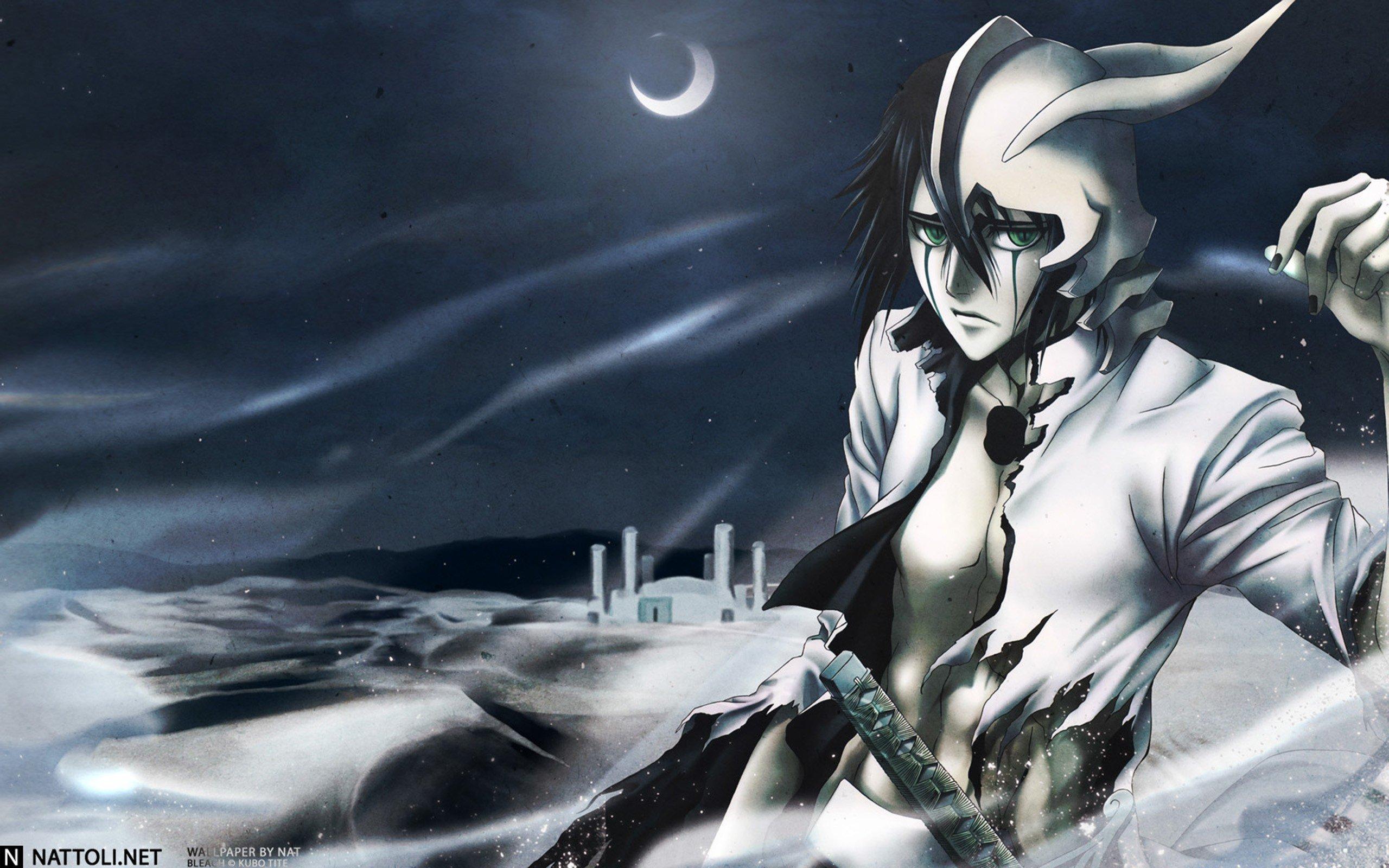 Vasto Lorde Ulquiorra - Bleach & Anime Background Wallpapers on Desktop  Nexus (Image 1375497)