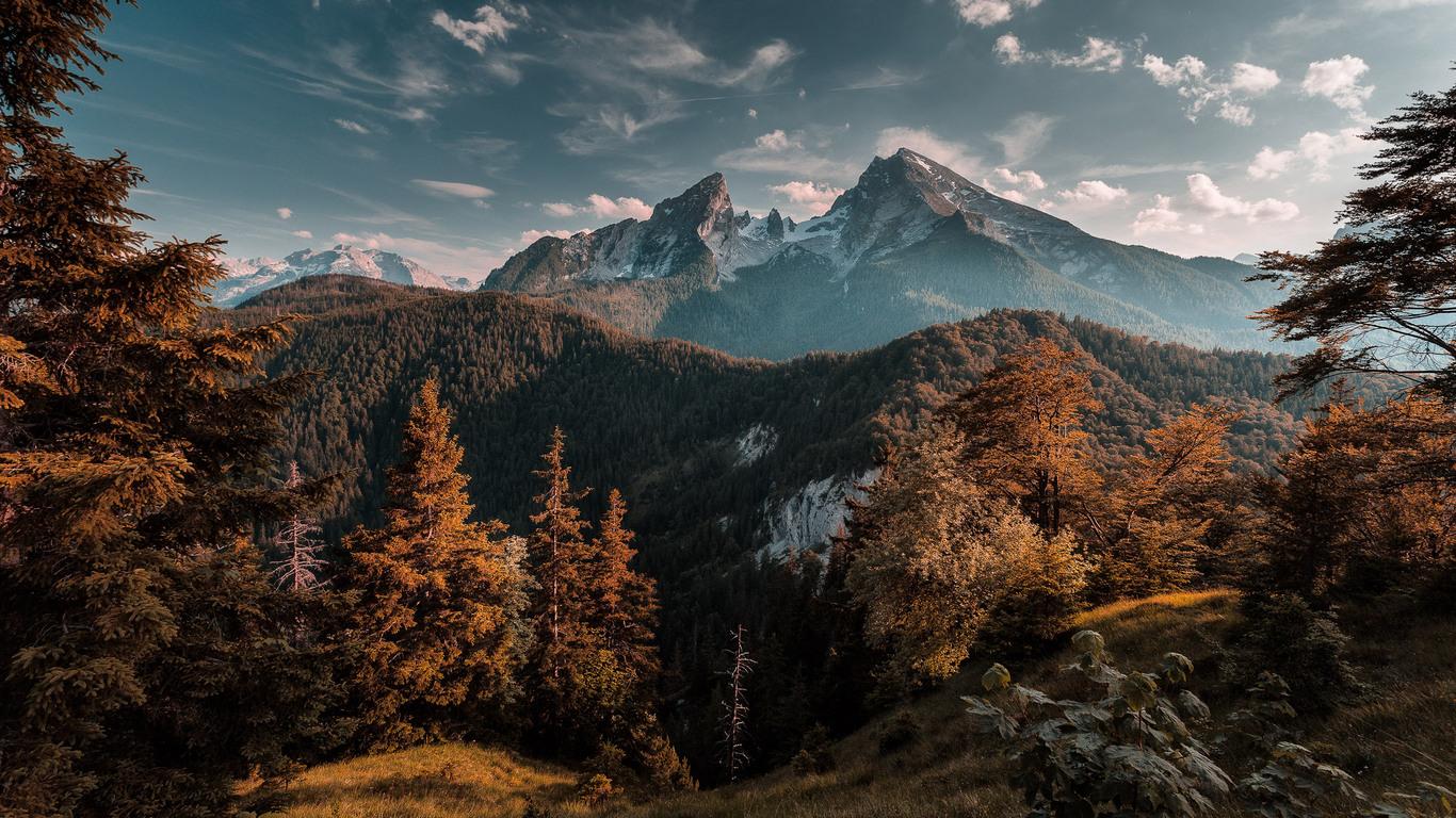 1366x768 Forest Mountains 1366x768 Resolution HD 4k Wallpaper, Image, Background, Photo and Picture