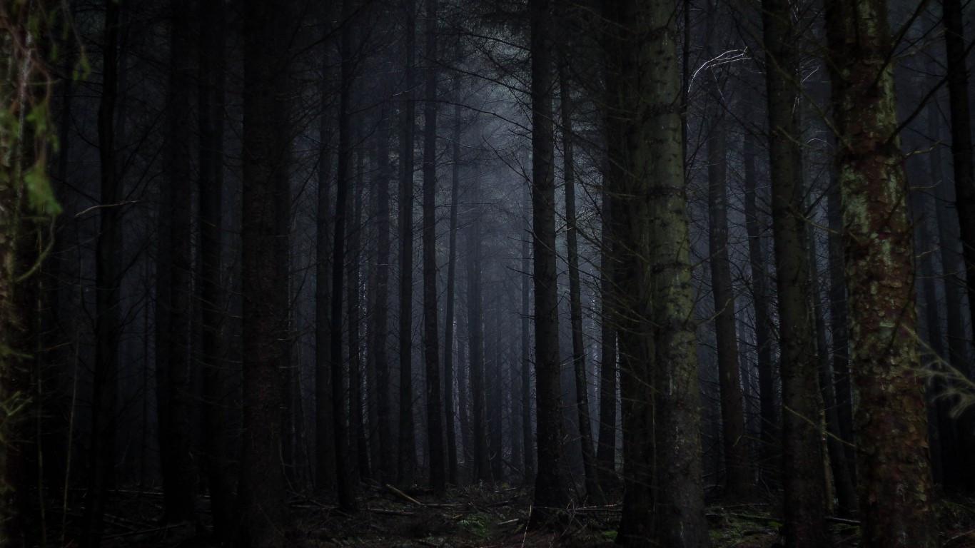 1366x768 Download 1366x768 Dark Forest, Fog, Scary, Trees Wallpaper for Laptop, Notebook