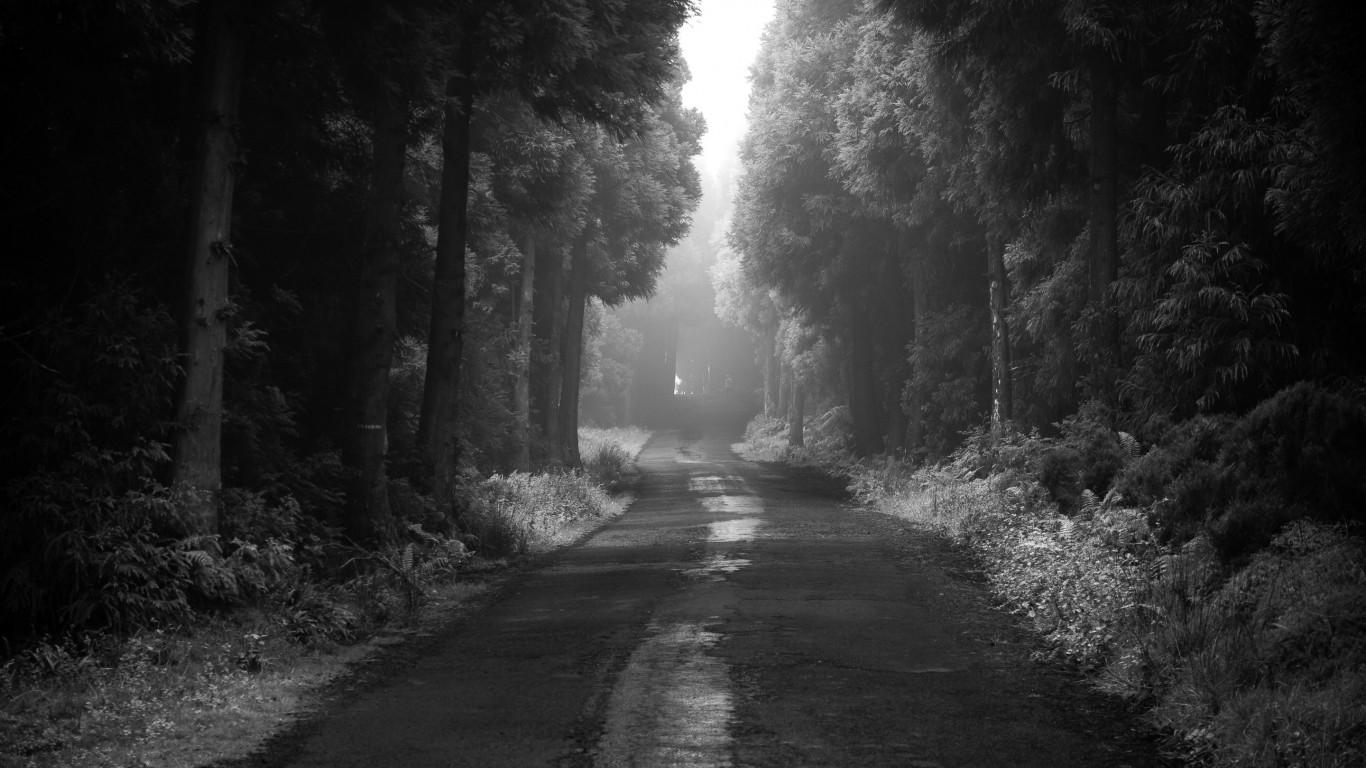 1366x768 Download wallpaper: Road thru the dark forest 1366x768