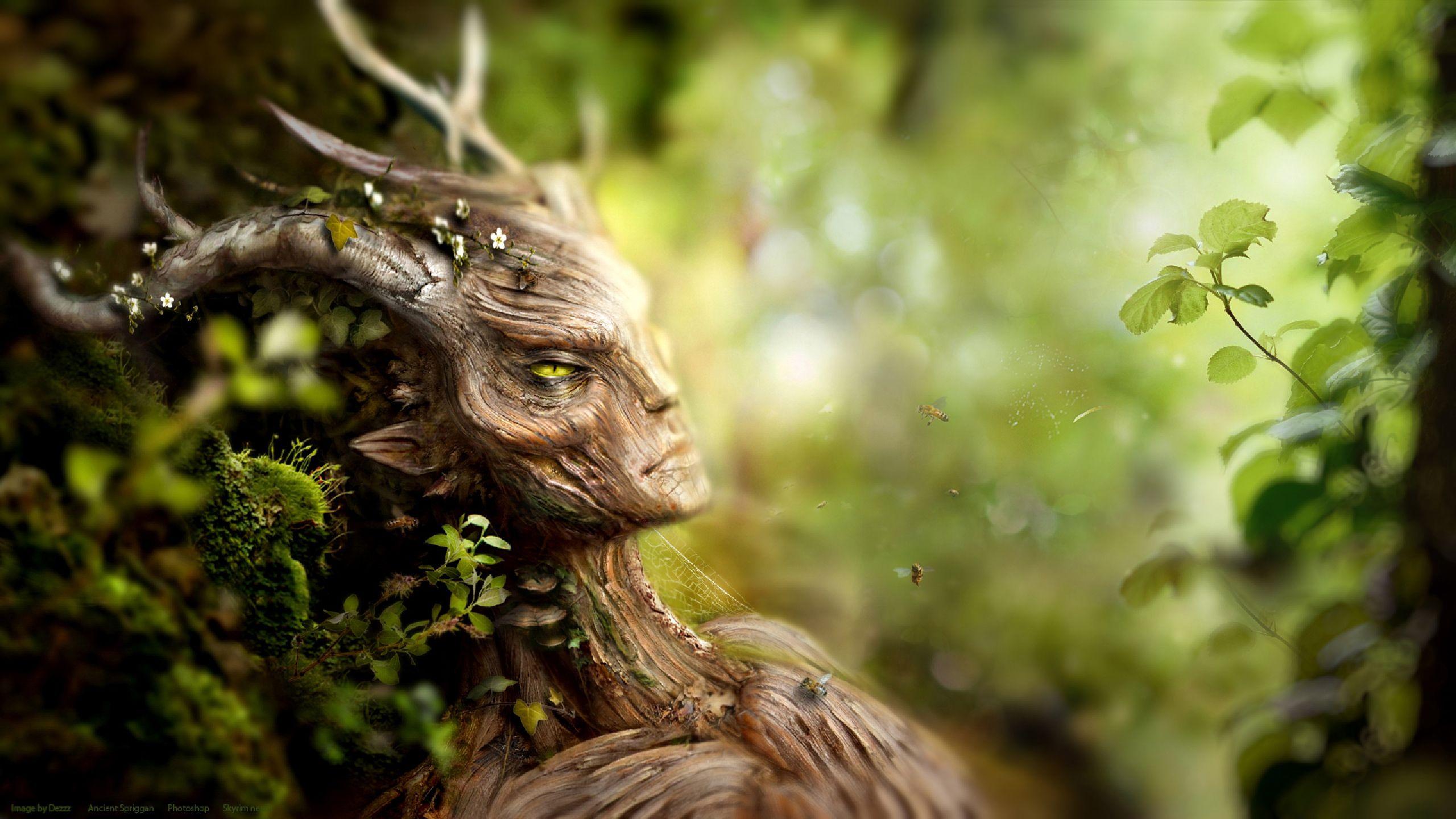 2560x1440 The Elder Scrolls V: Skyrim HD Wallpaper