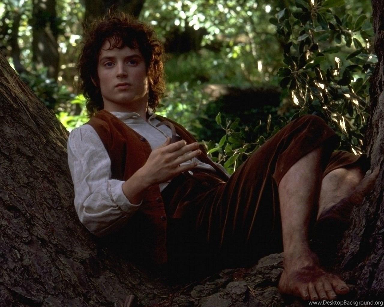 1280x1024 Elijah Wood Lord Of The Rings Wallpaper Desktop Background