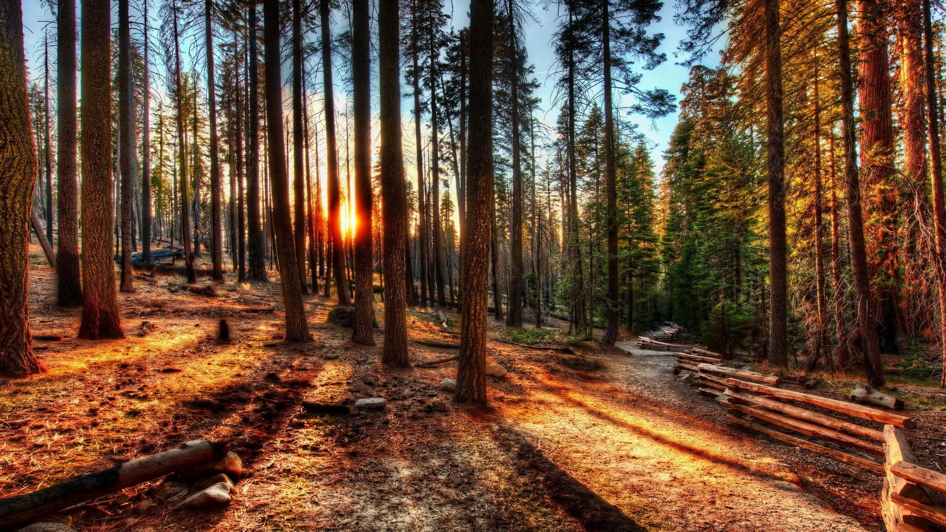 1920x1080 Fantastic HDR Nature Wallpaper 38359 1920x1080px