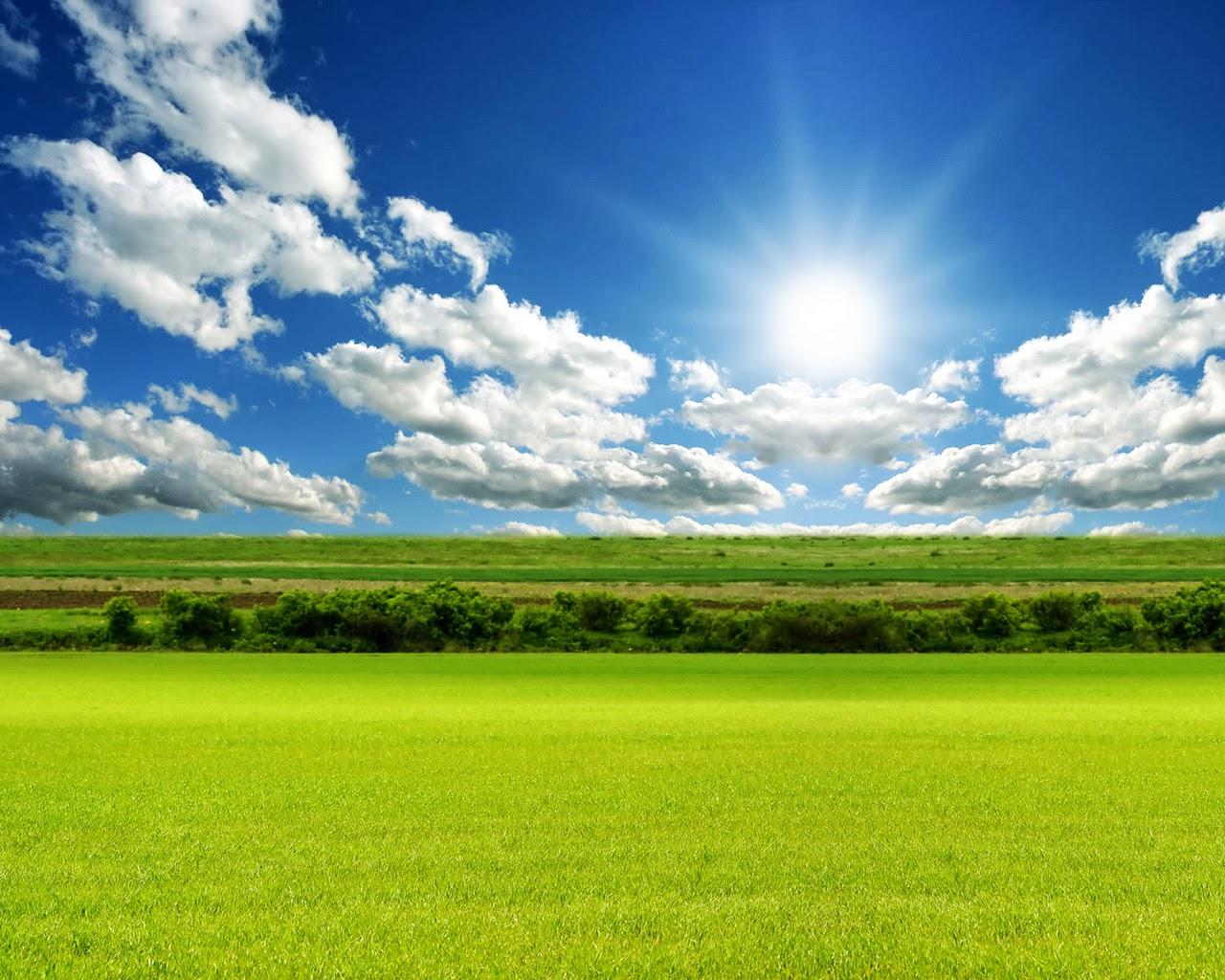 1280x1024 Fantastic Download Nature Wallpaper And Ground Background HD
