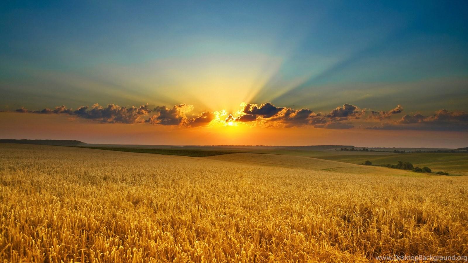 1600x900 Fantastic Nature Background Computer Wallpaper, Desktop. Desktop Background