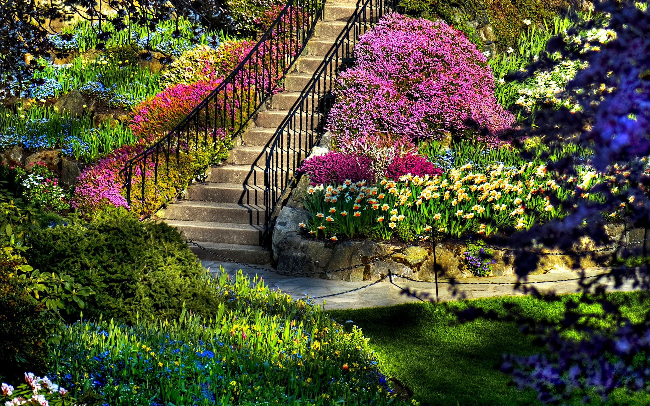 2560x1600 Nature HD OS Beautiful Natural Beautiful Nature Wallpaper Image For Your Desktop (8)