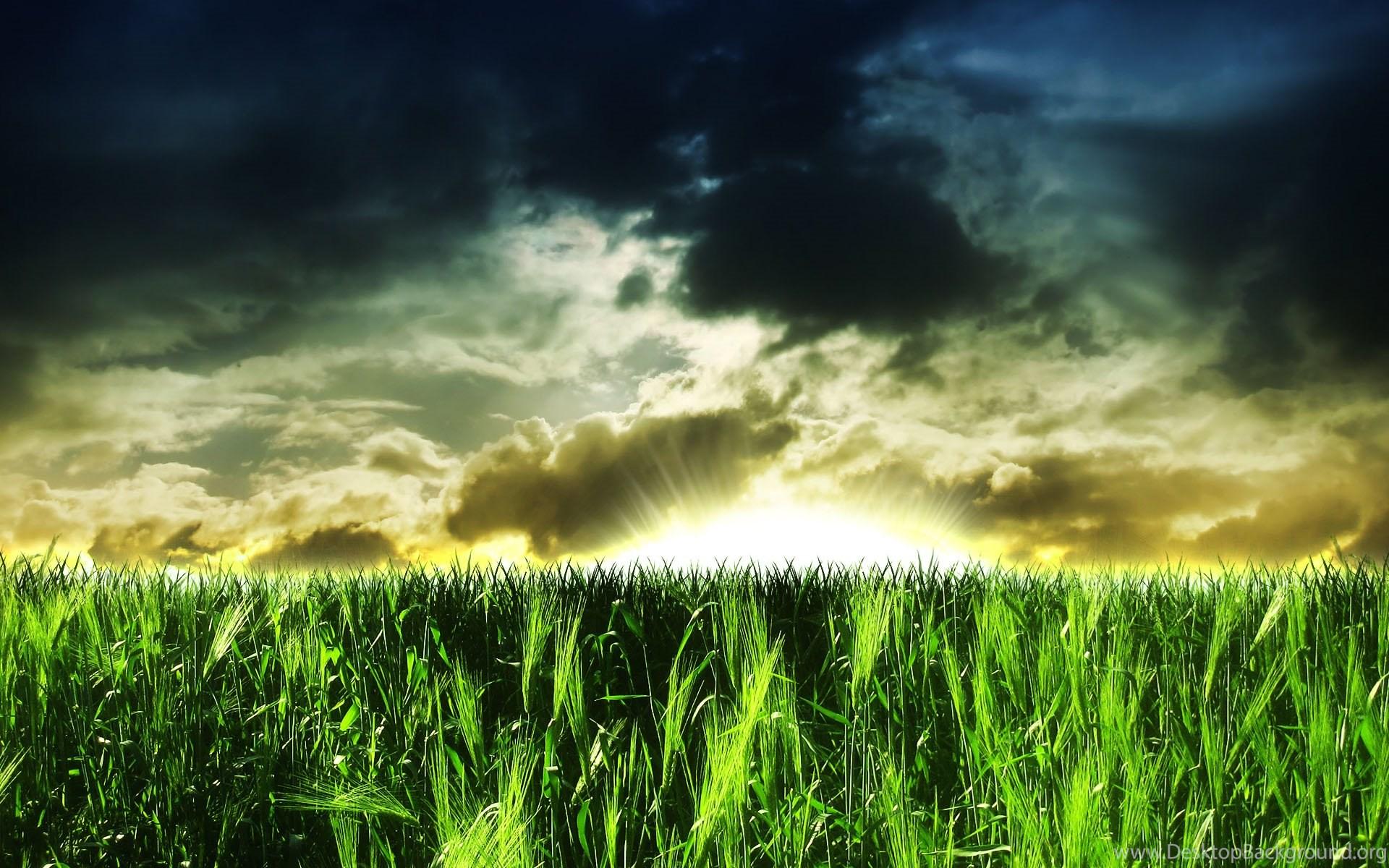 1920x1200 Wallpaper HD Abstract Nature As Picture Of A More Fantastic Nature. Desktop Background