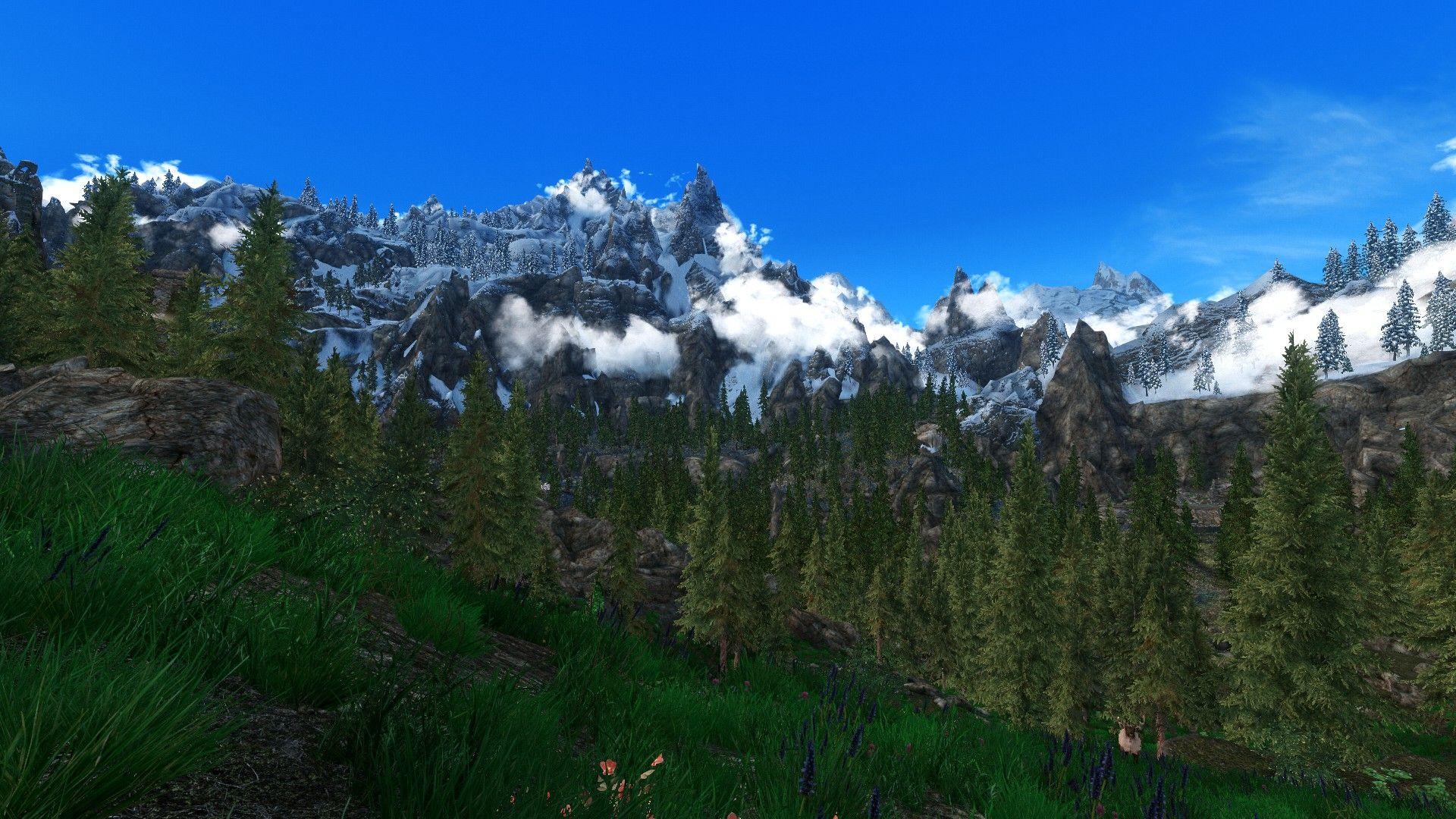 1920x1080 DynDOLOD ultra trees test at Skyrim Nexus and community
