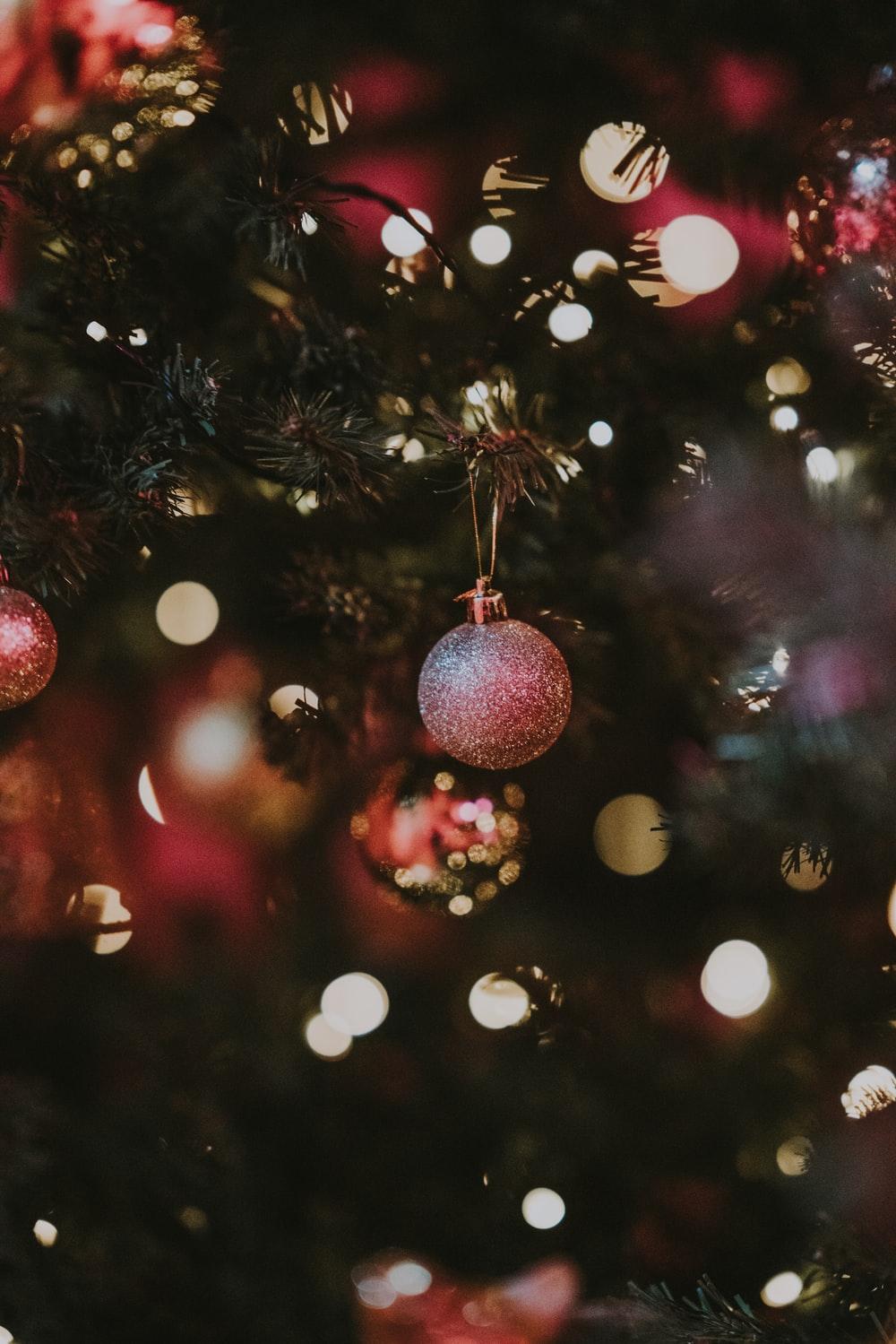 1000x1499 Christmas Tree Picture. Download Free Image