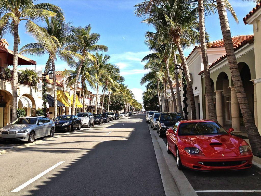 1024x768 Palm Beach Wallpaper
