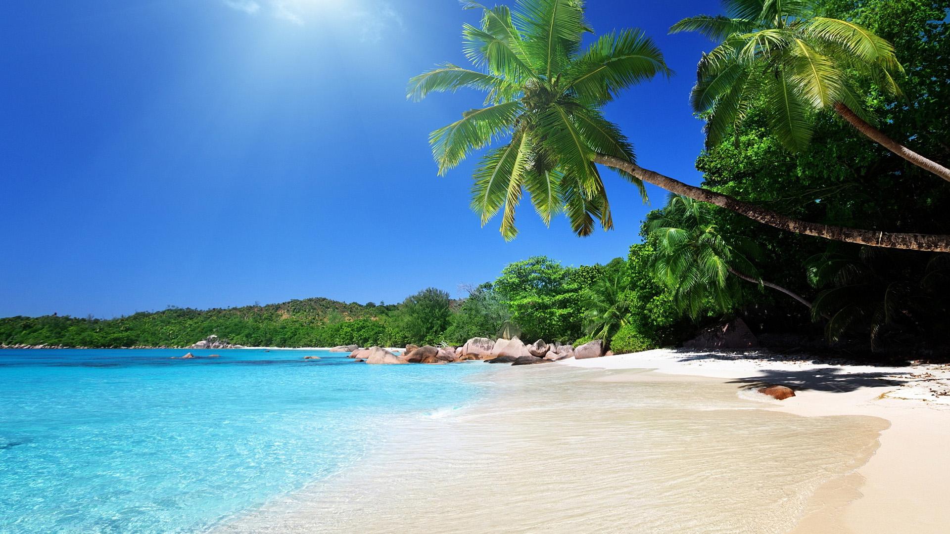 1920x1080 Free download Palm beach florida wallpaper 06 Beach Picture and image [1920x1080] for your Desktop, Mobile & Tablet. Explore Florida Beach Wallpaper Free Downloads. Free Beach Wallpaper For Desktop