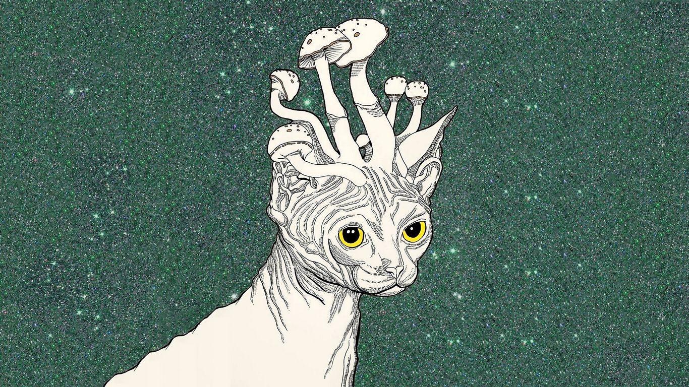 1366x768 Download wallpaper 1366x768 trippy stoner, cat, mushrooms, art