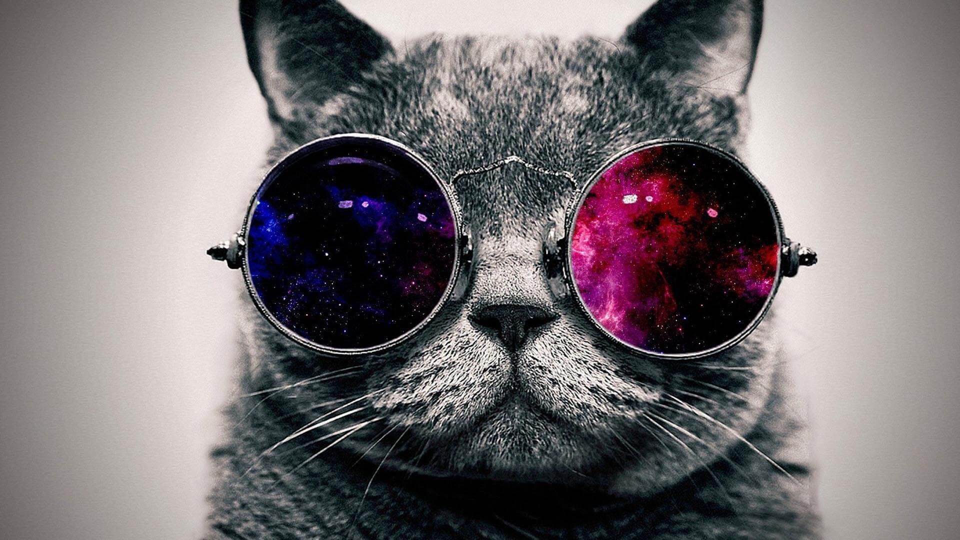 1920x1080 Cool Wallpaper HD for Android