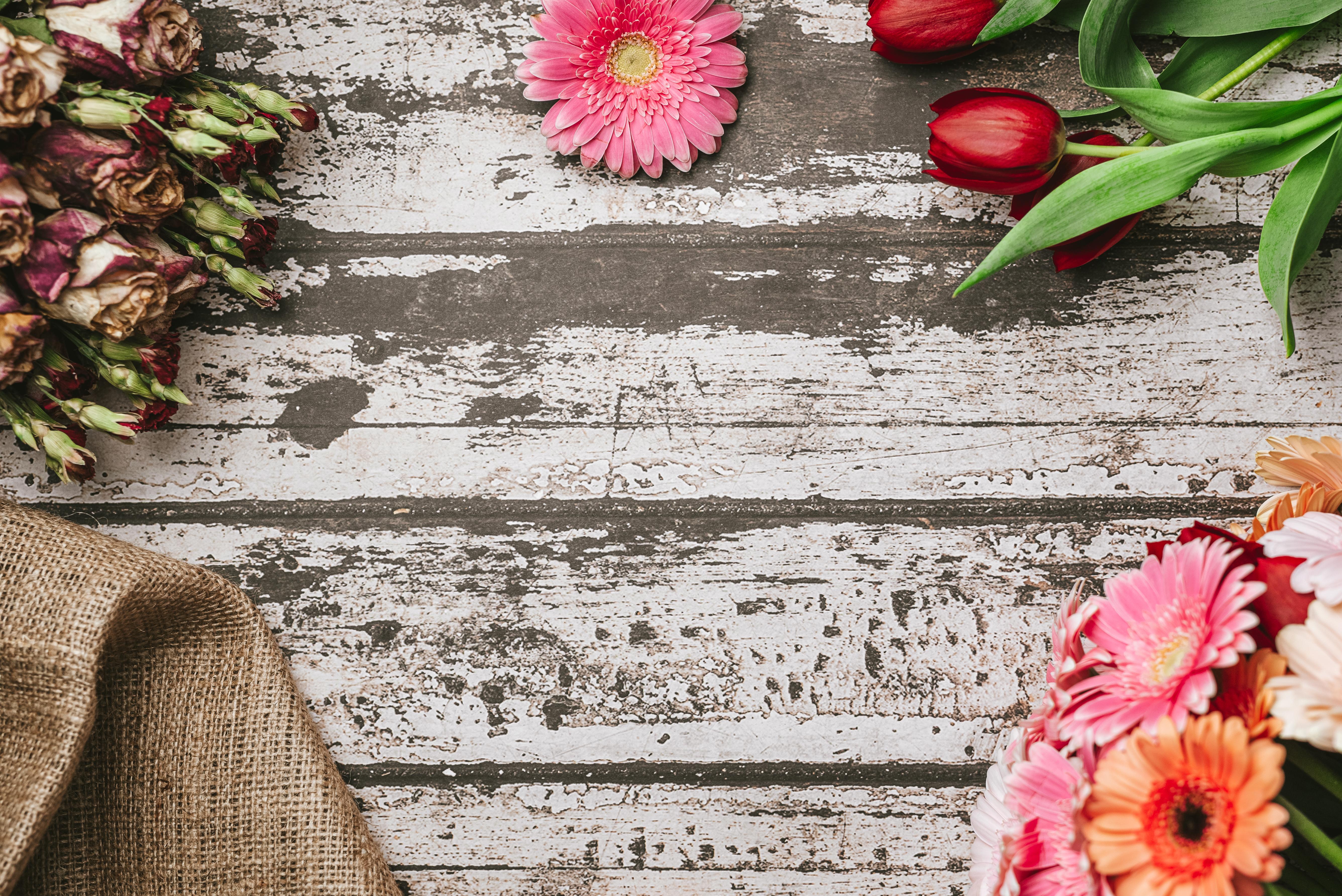 5343x3567 Spring Rustic Hero Background with Flowers Free