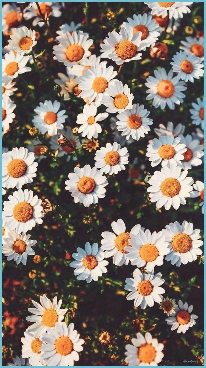 697x1241 Follow