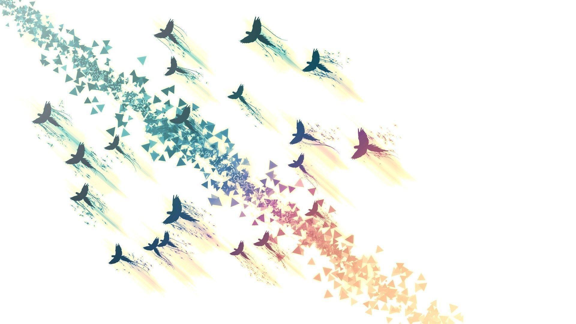 1920x1080 Bird Silhouette Wallpaper
