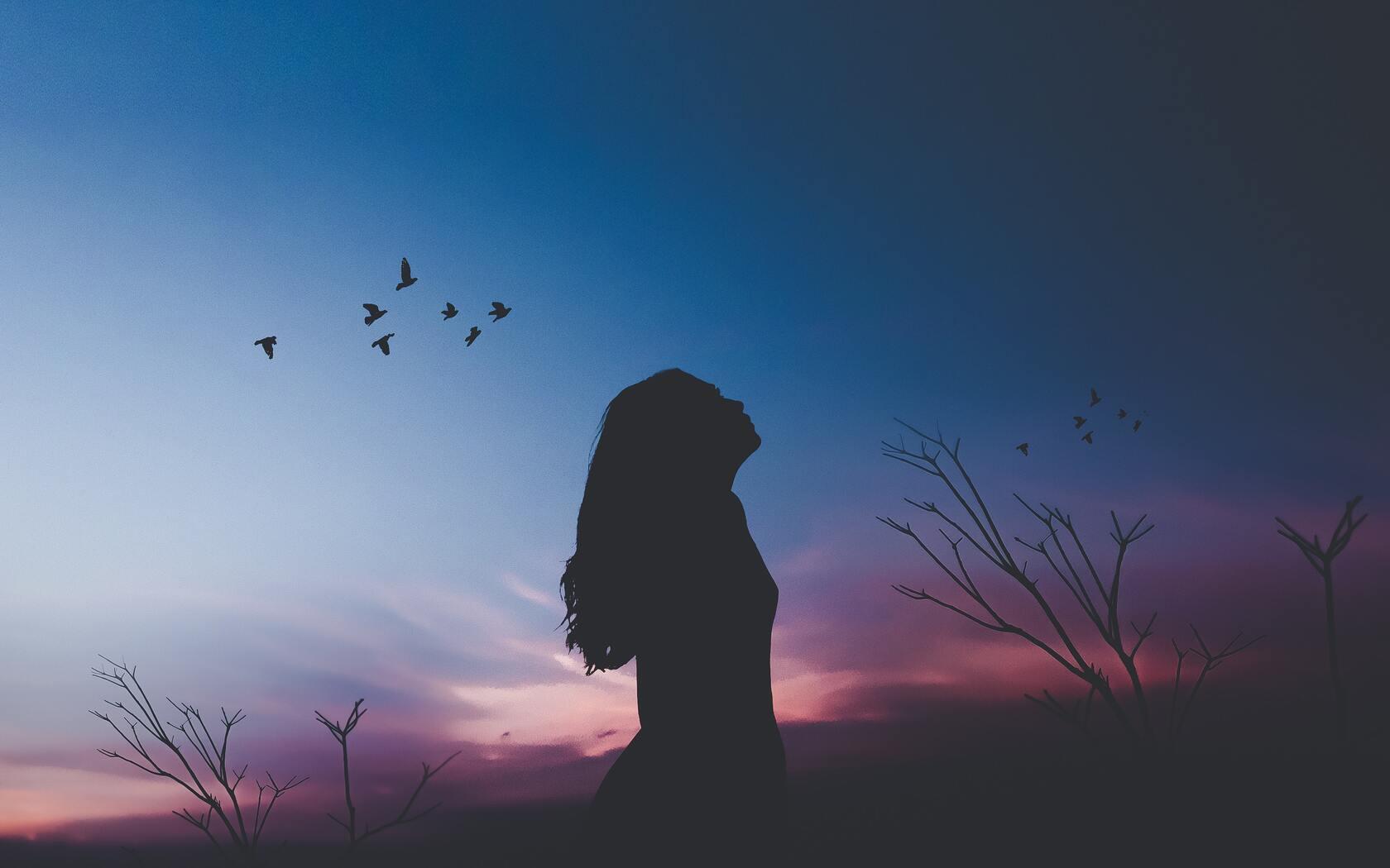 1680x1050 Girl Silhouette Shadow Birds Flying 1680x1050 Resolution HD 4k Wallpaper, Image, Background, Photo and Picture