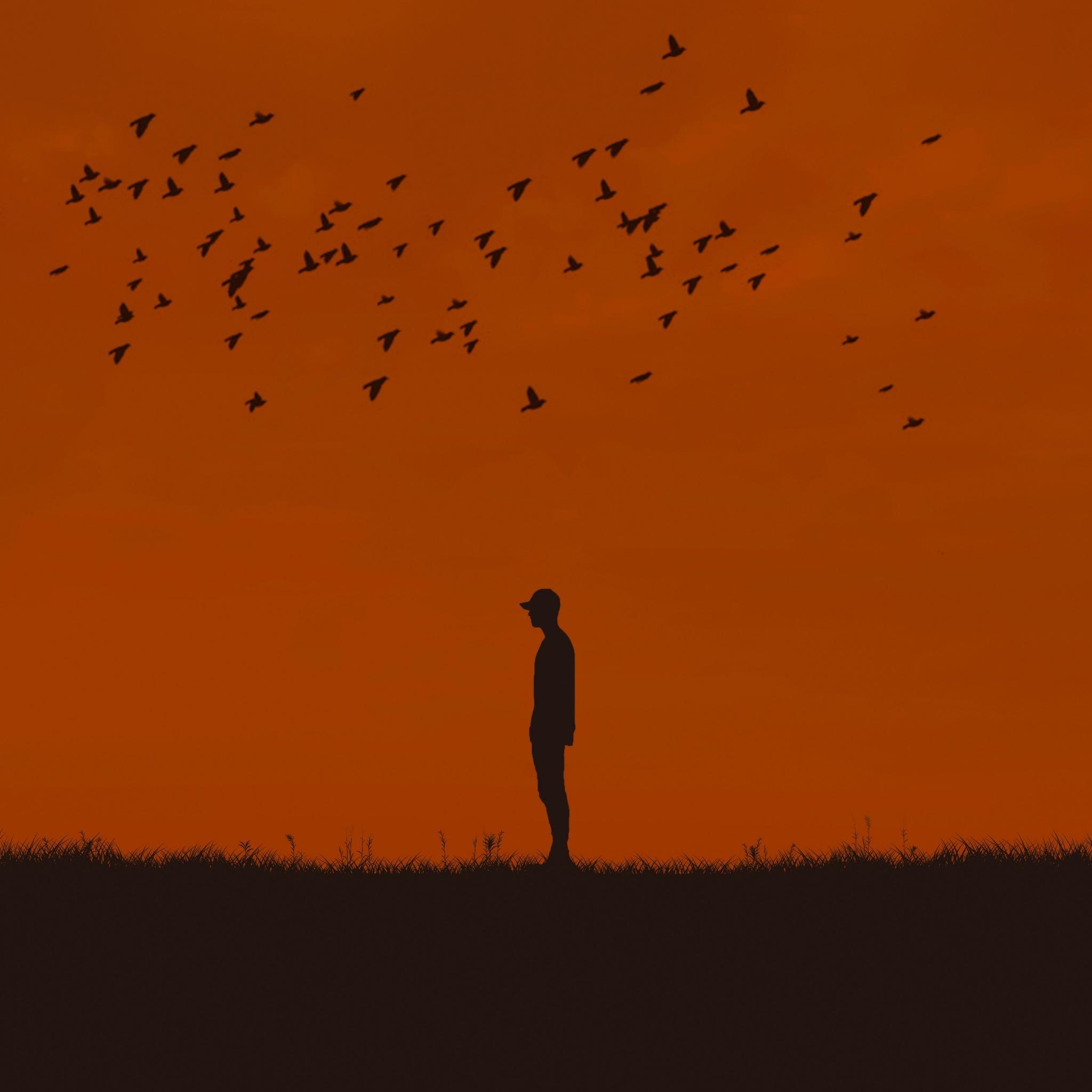 2048x2048 Man Silhouette Birds On Hill iPad Air Wallpaper Free Download