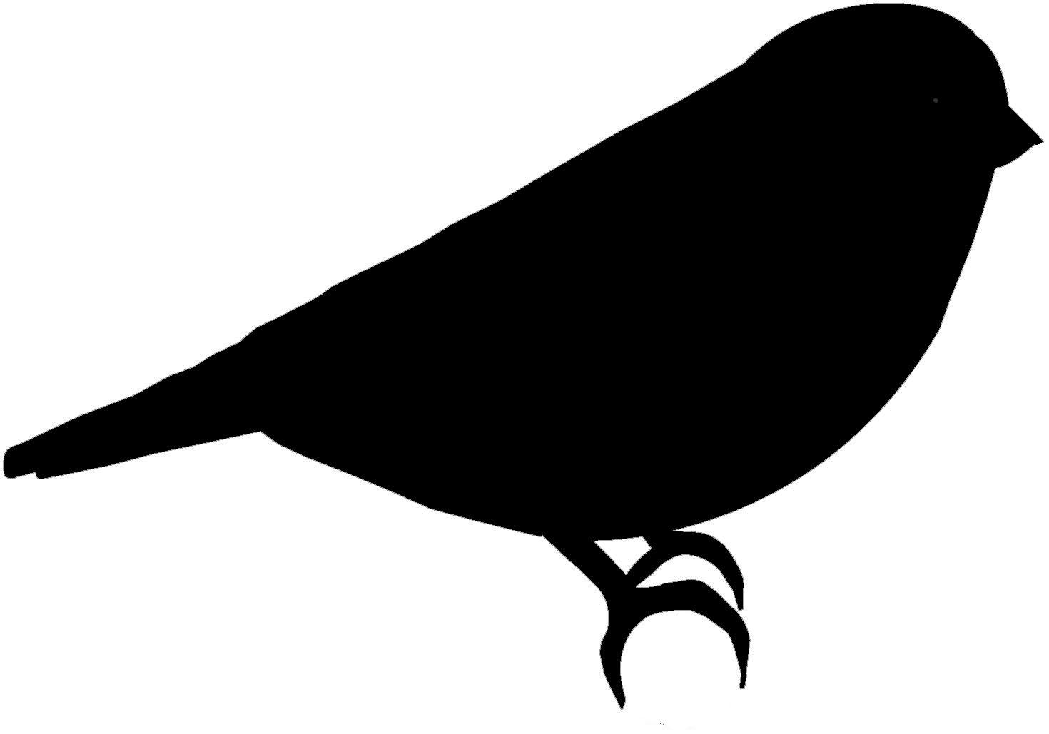 1470x1029 Small Bird Silhouette