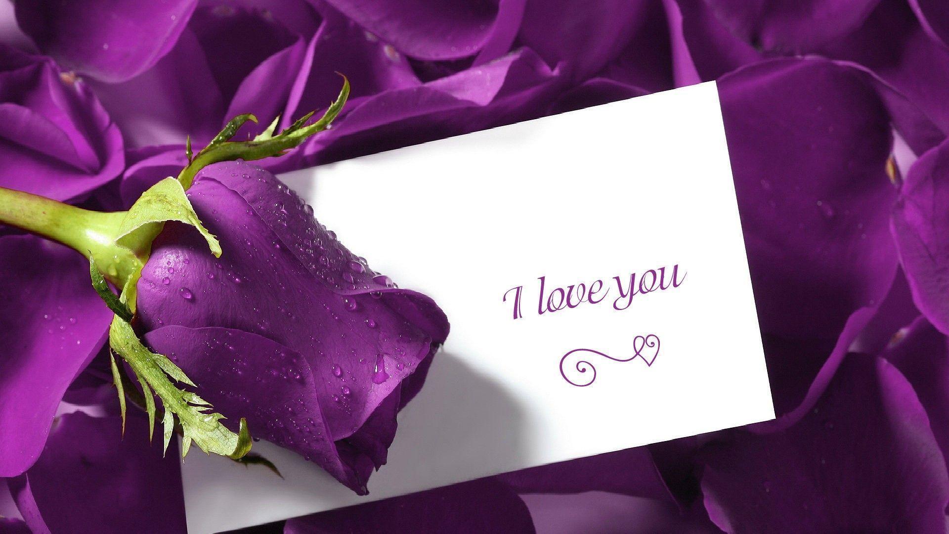 1920x1080 Purple Love Wallpaper