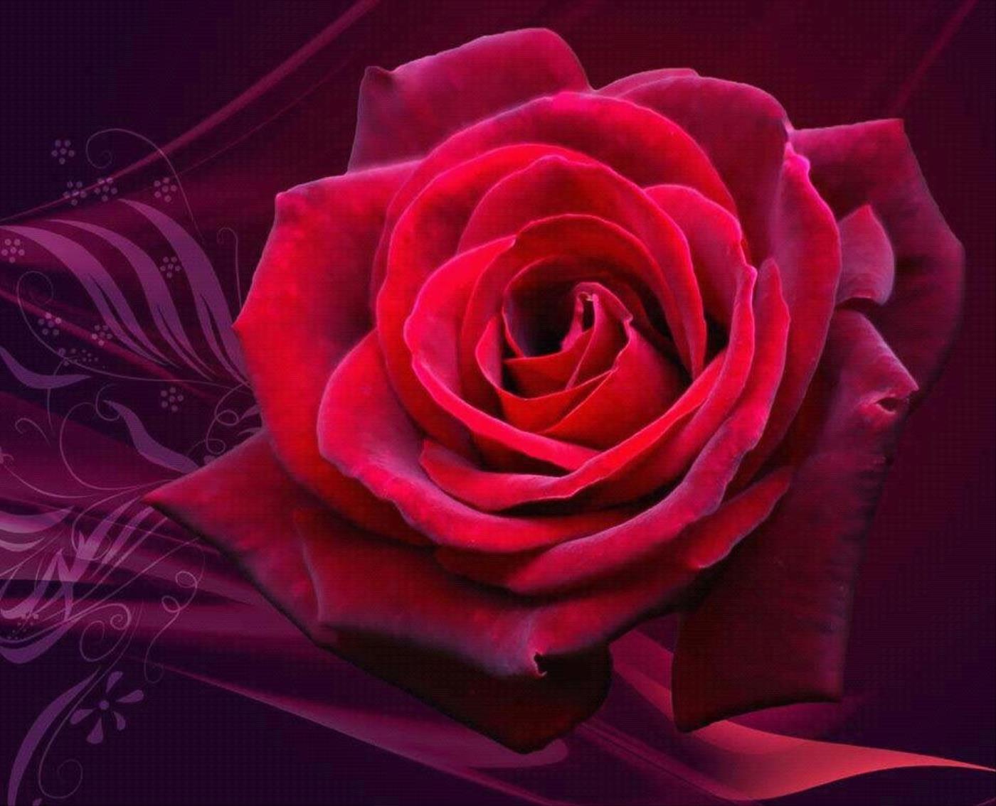 1400x1134 Red And Purple Wallpaper