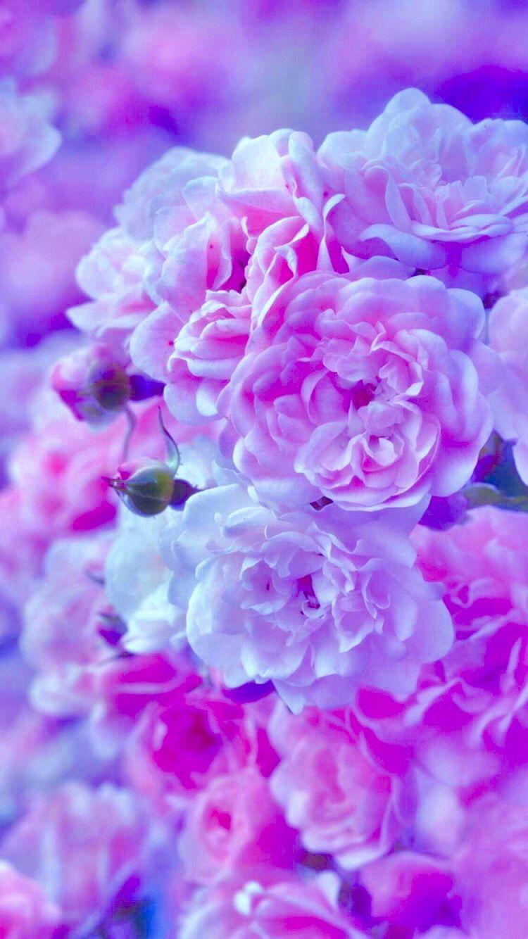 750x1334 Wallpaper Flowers Purple